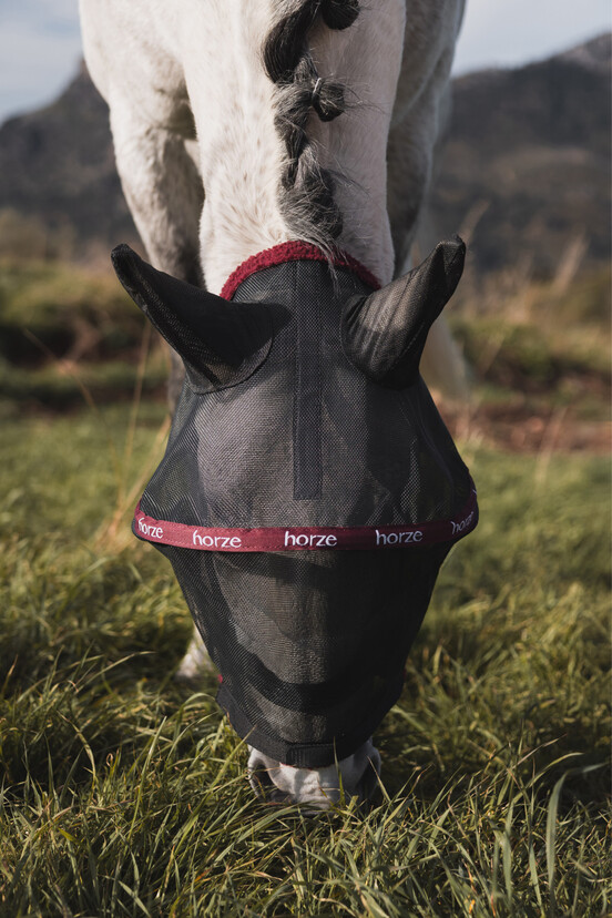 Fly Masks