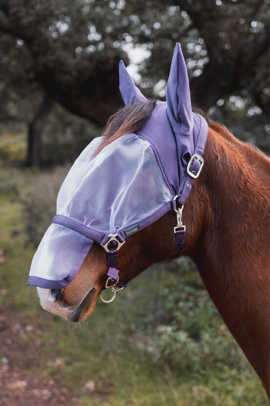 Halters & Leads