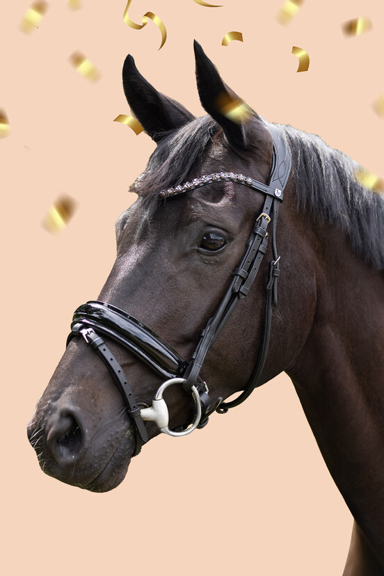 Bridles & Reins