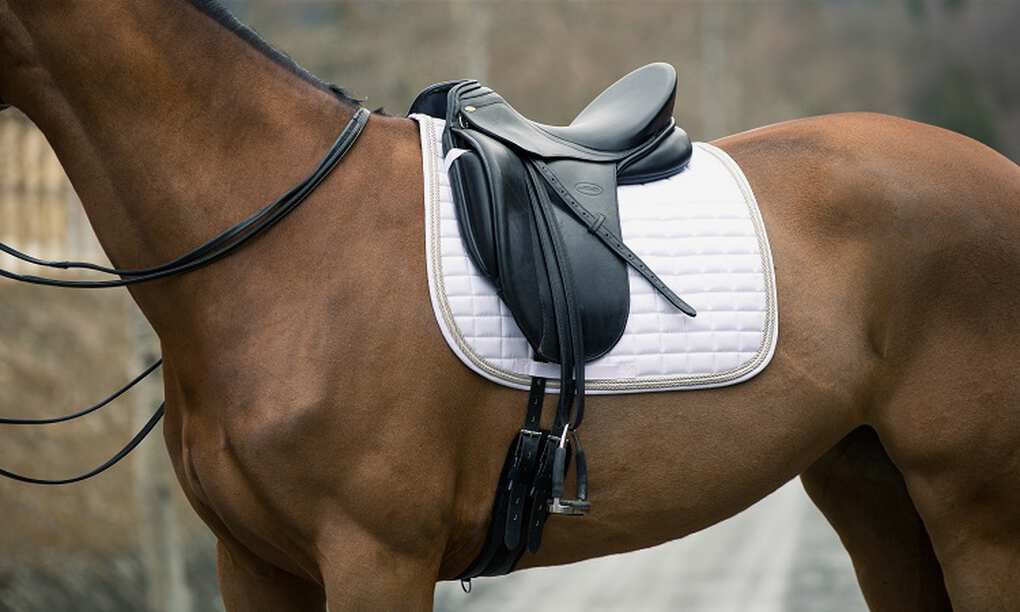 Western Saddle Pads horze.ie