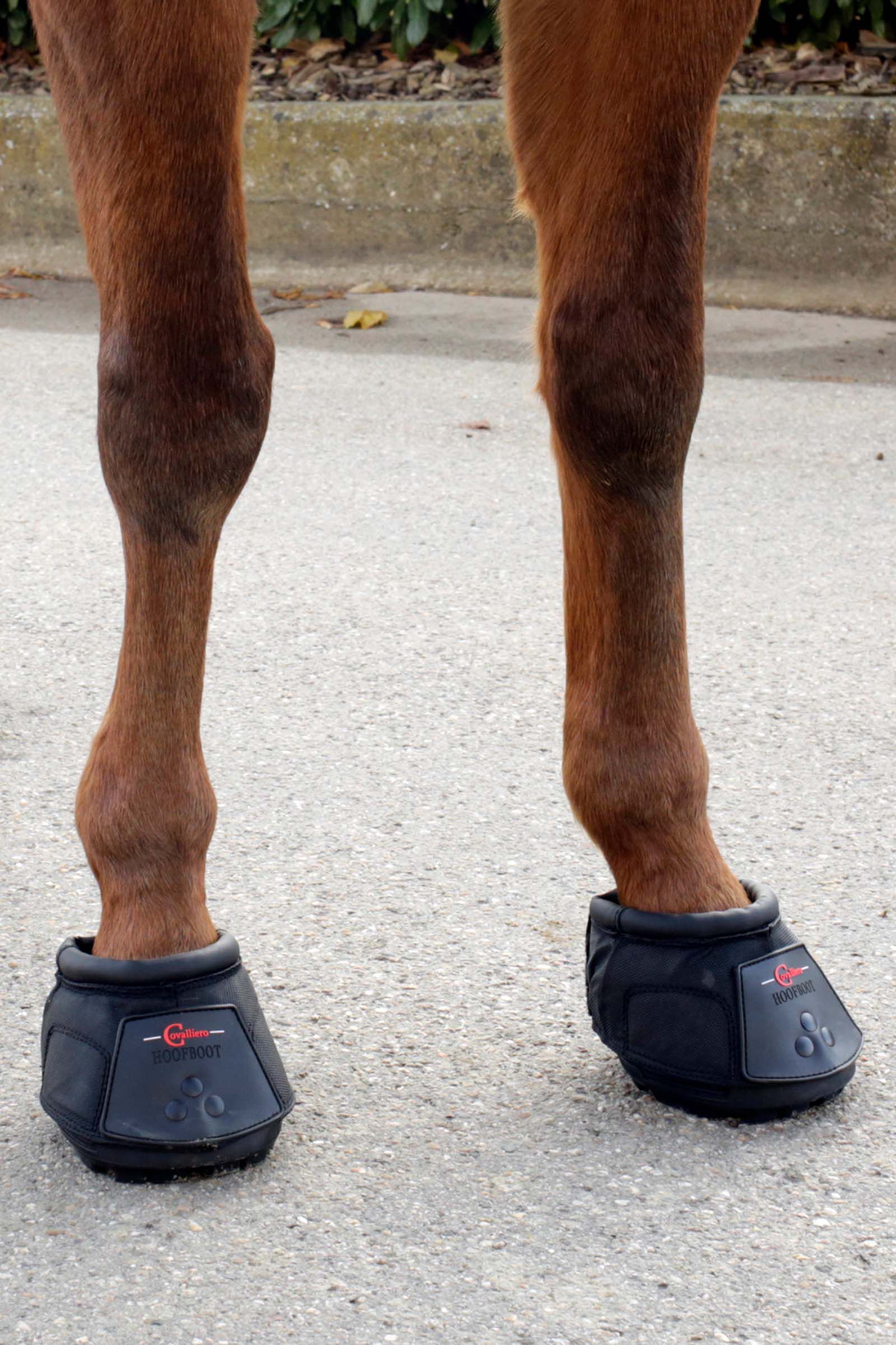 Covalliero Hoof Shoe 1 Piece