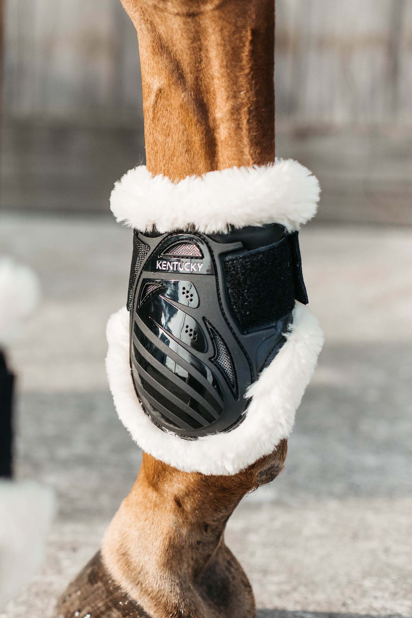 Veredus young horse boots outlet