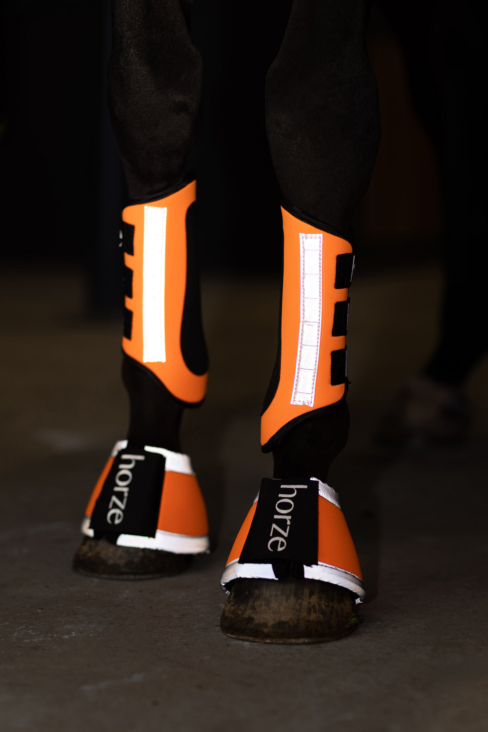 Reflective horse boots cheap