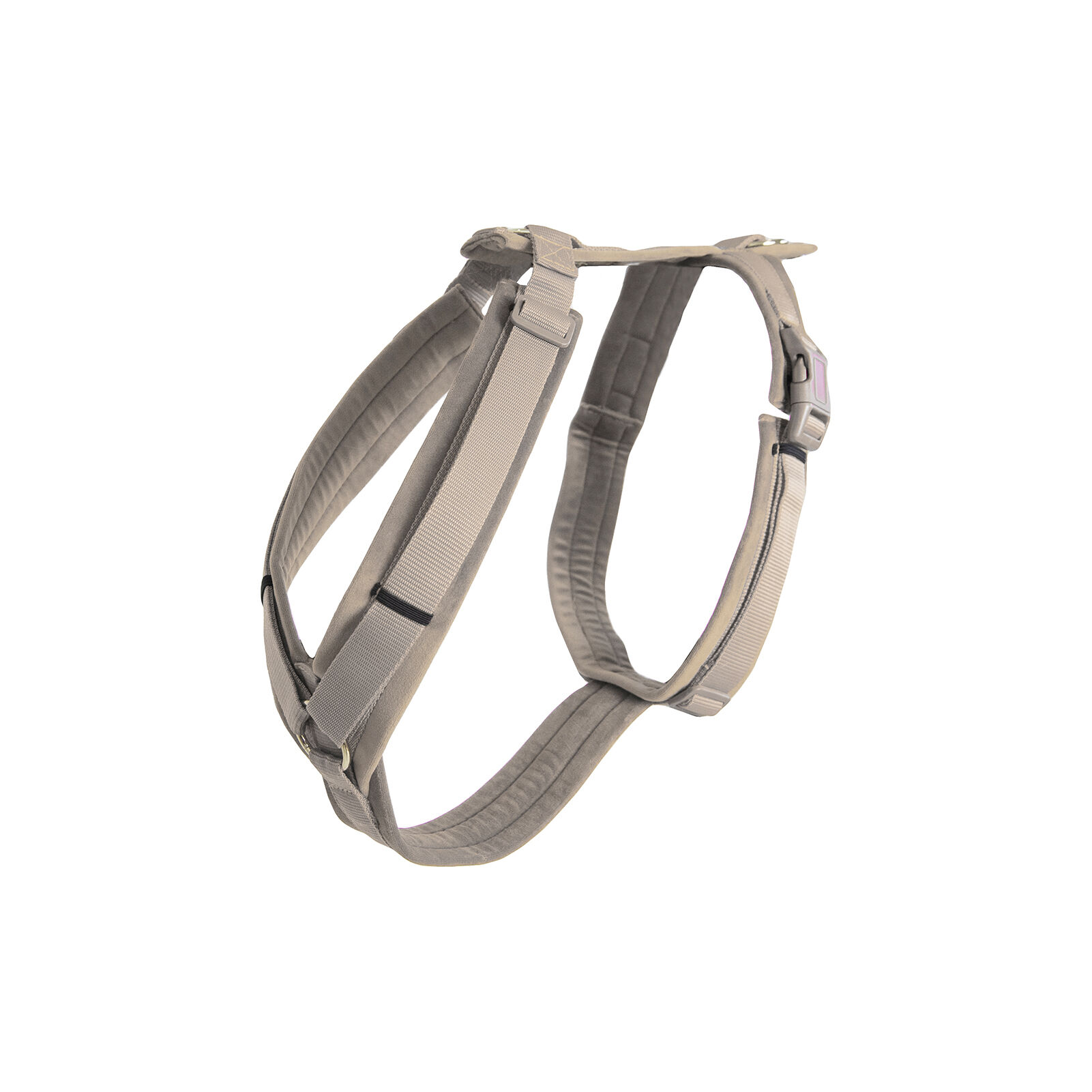 Active dog harness cheap