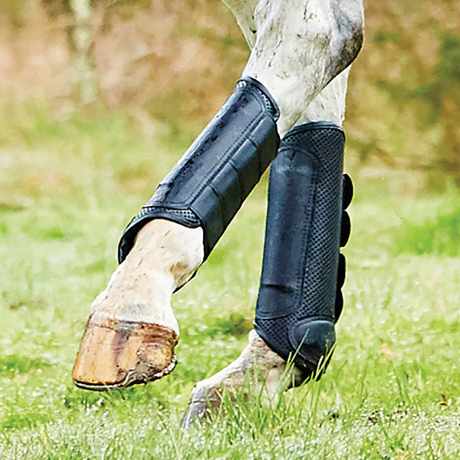 Weatherbeeta Cross Country Boots hind horze.ie