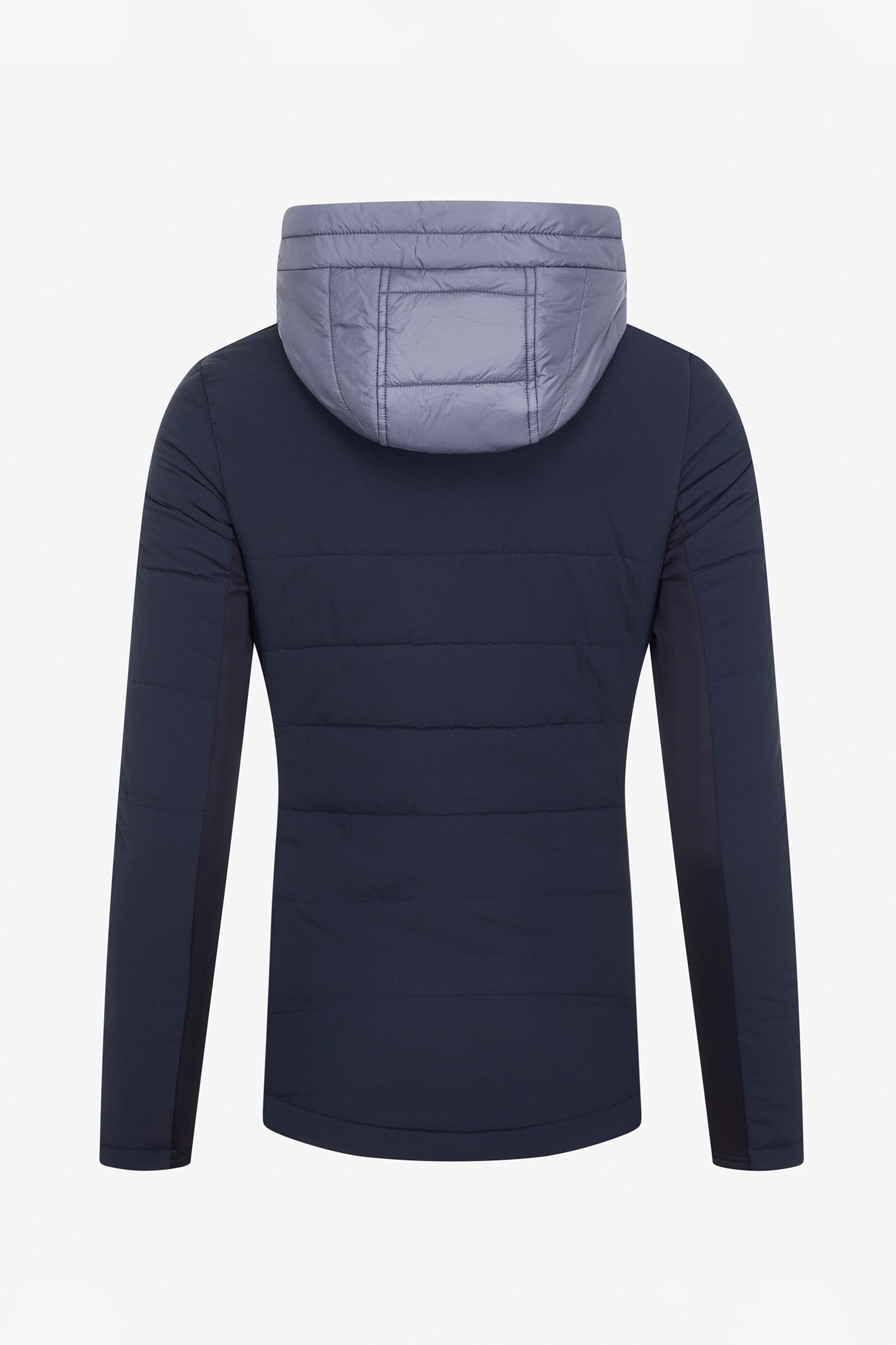 LeMieux Brioney Women s Hybrid Jacket horze.ie