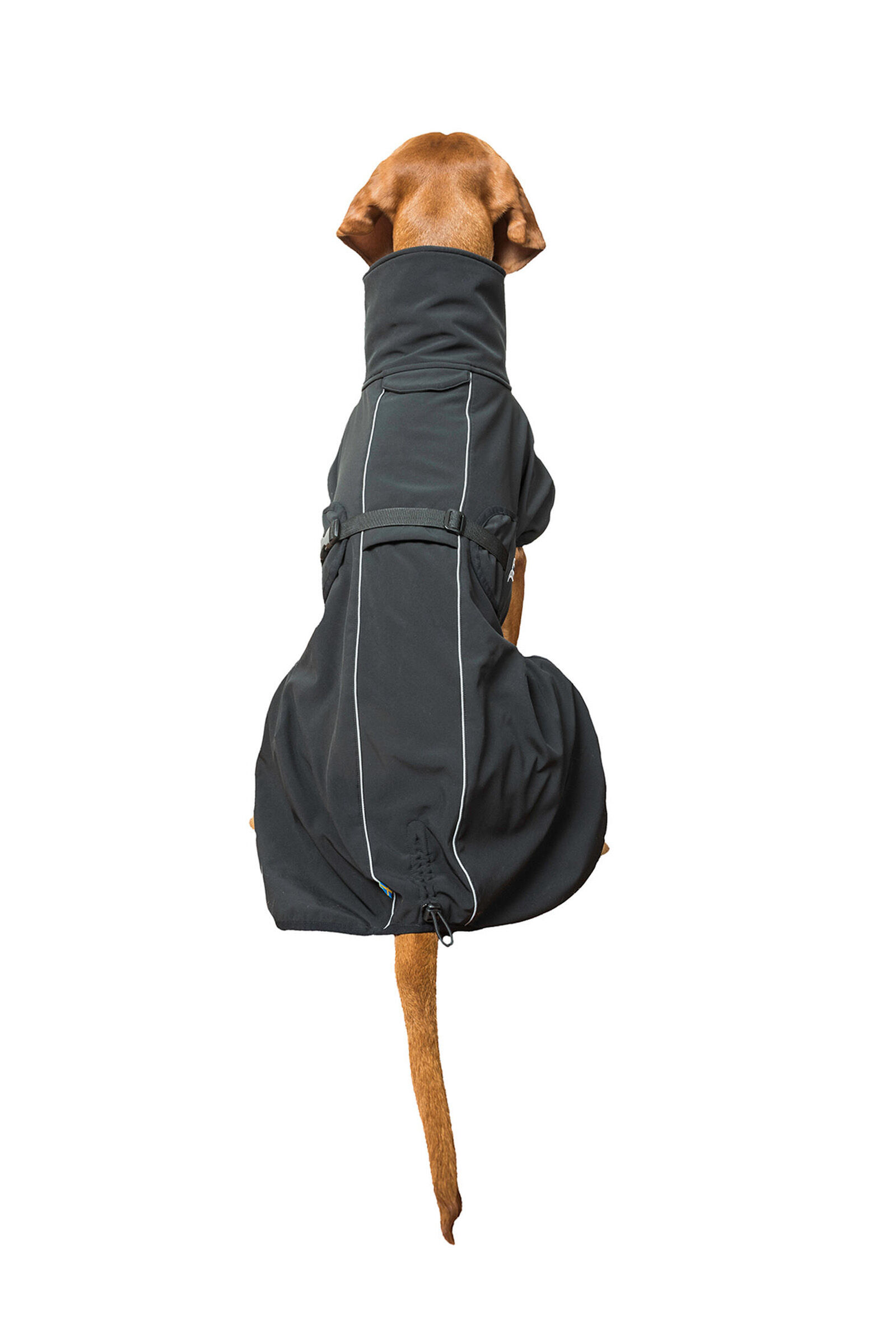 Back on track jackets for dogs clearance