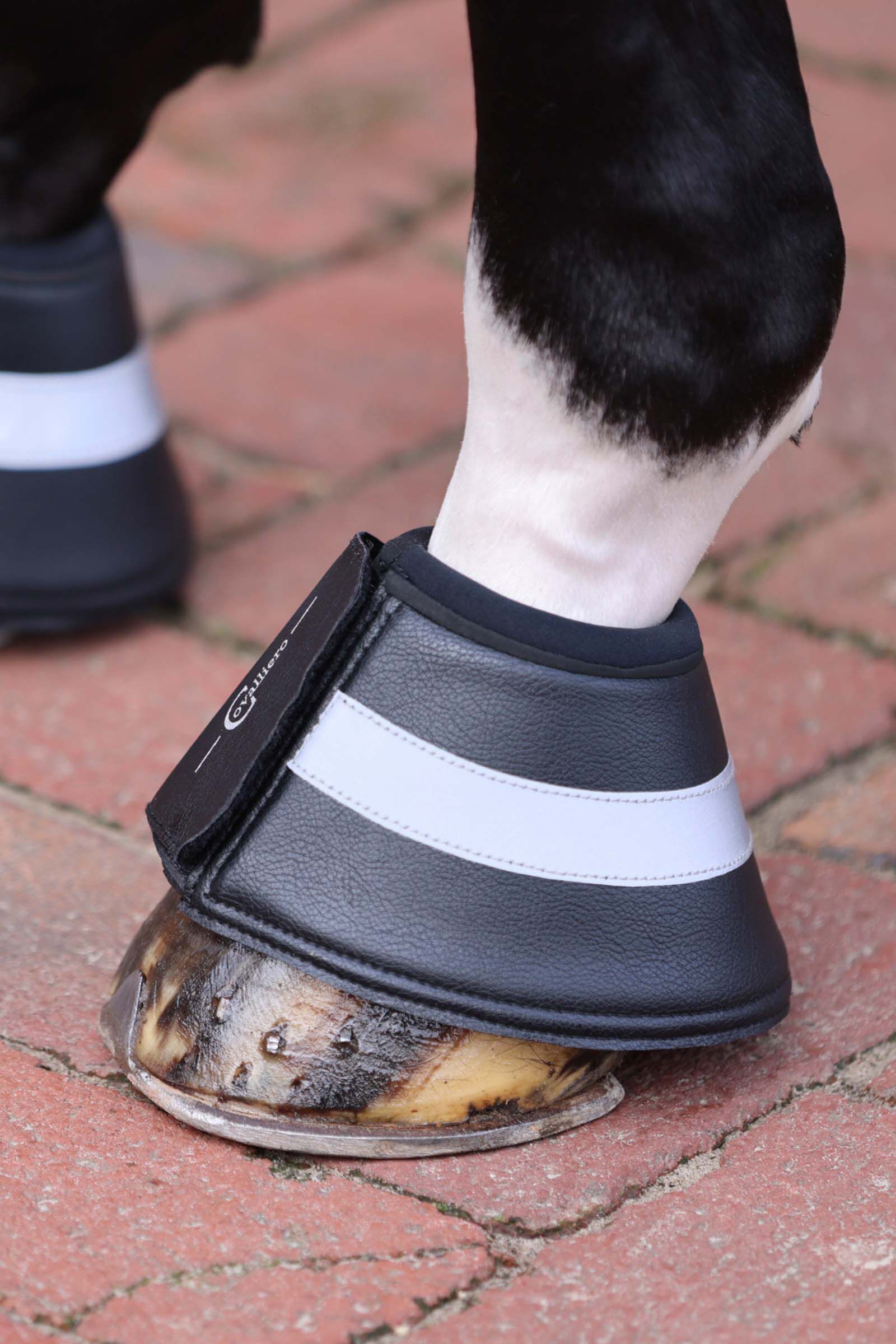 Best over reach boots for keeping shoes shop on