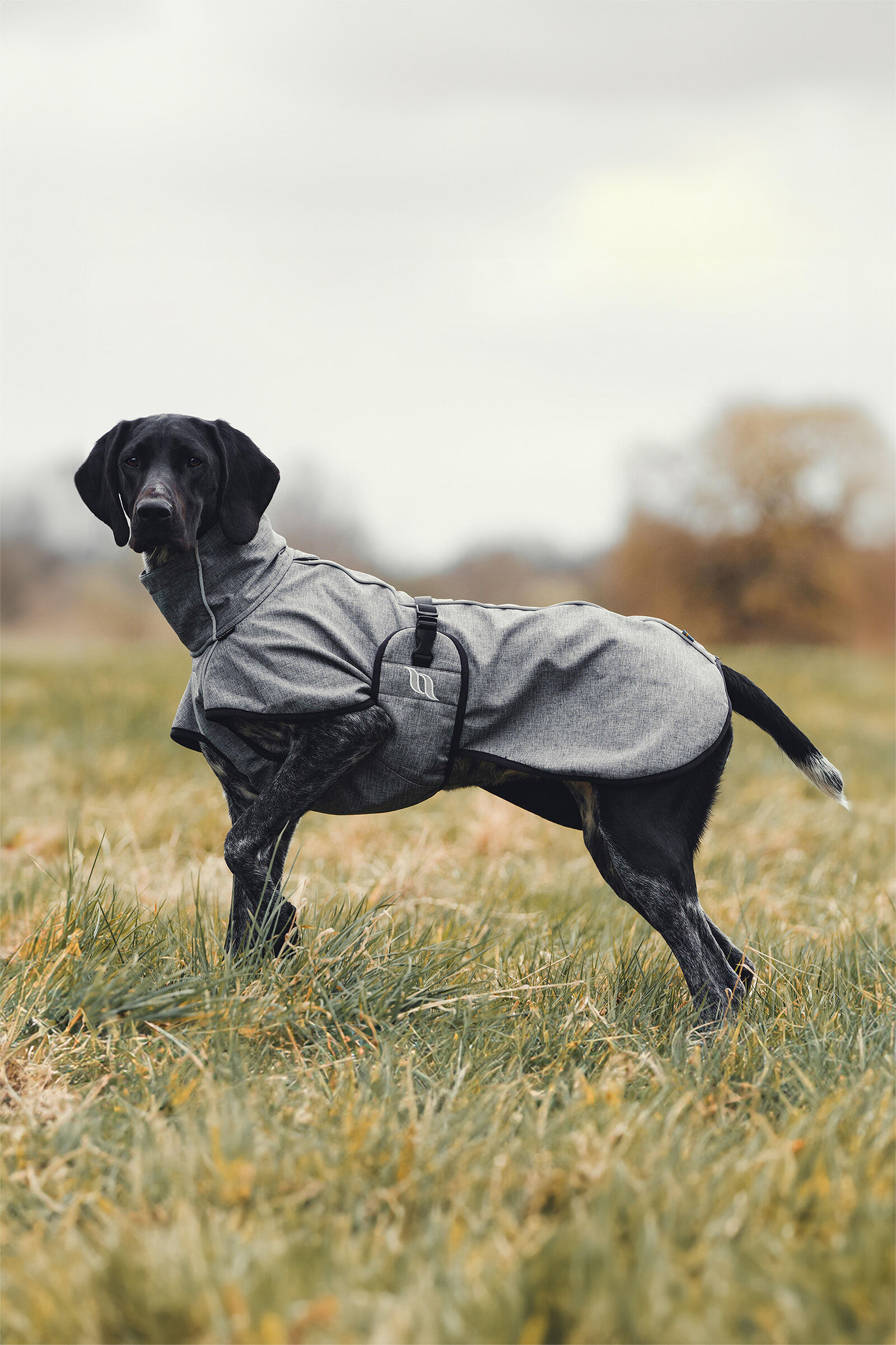 Back on track coat best sale