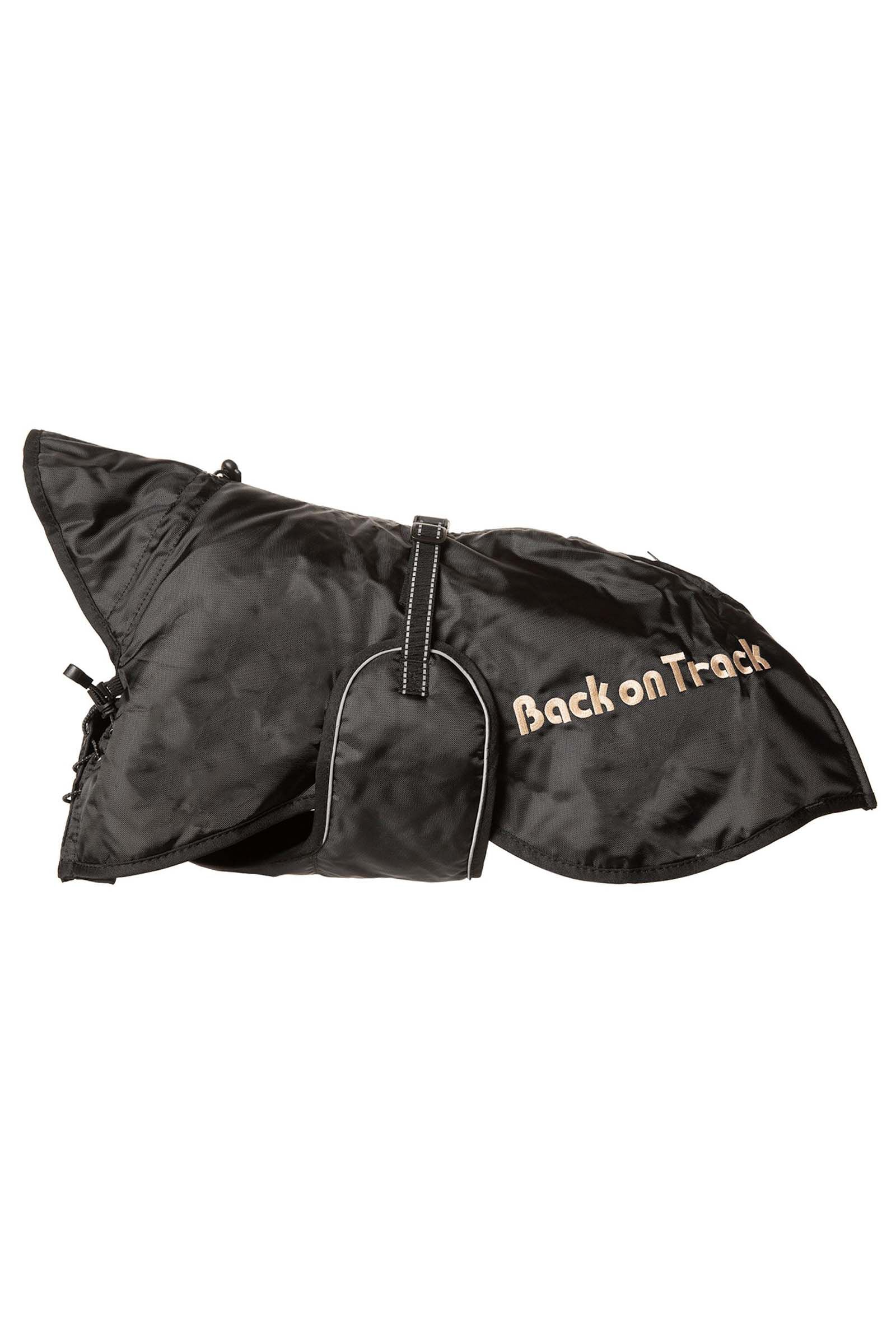 Back on track dog rug sale