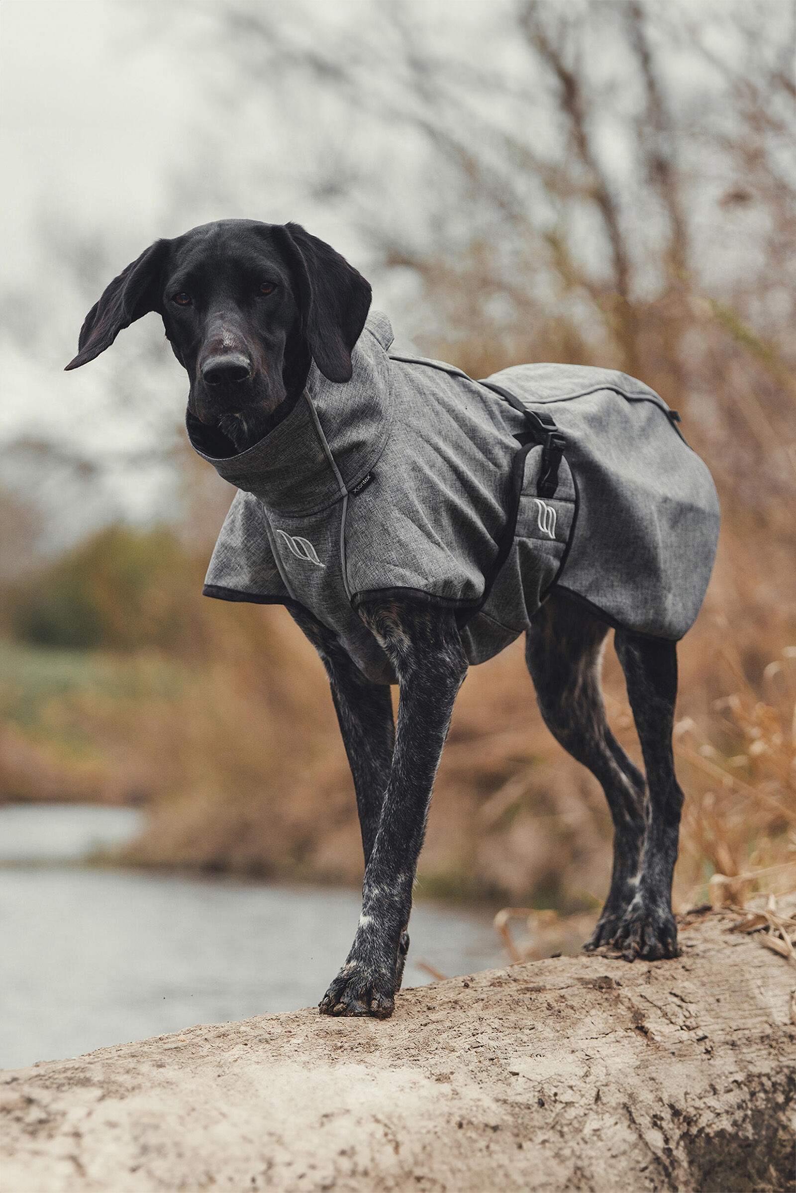 Back on track coat discount
