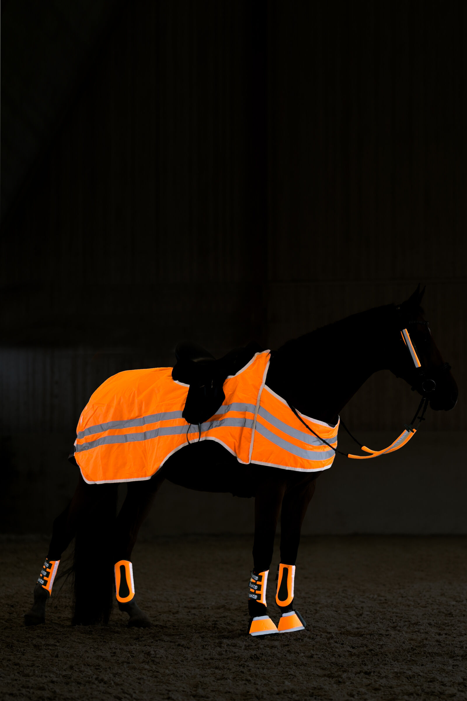 Hi Viz Horse Wear horze.ie