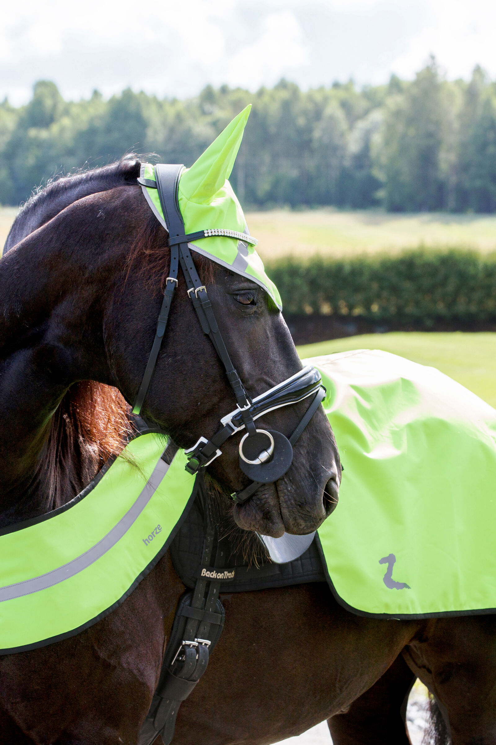 Hi Viz Horse Wear horze.ie