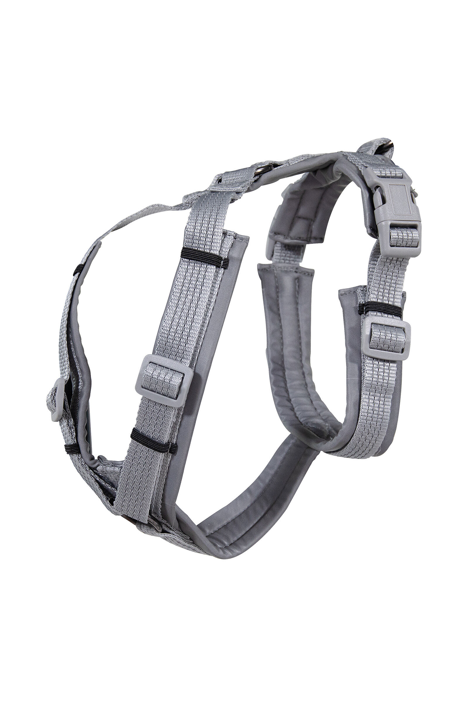 Monogrammed dog clearance collars and leashes