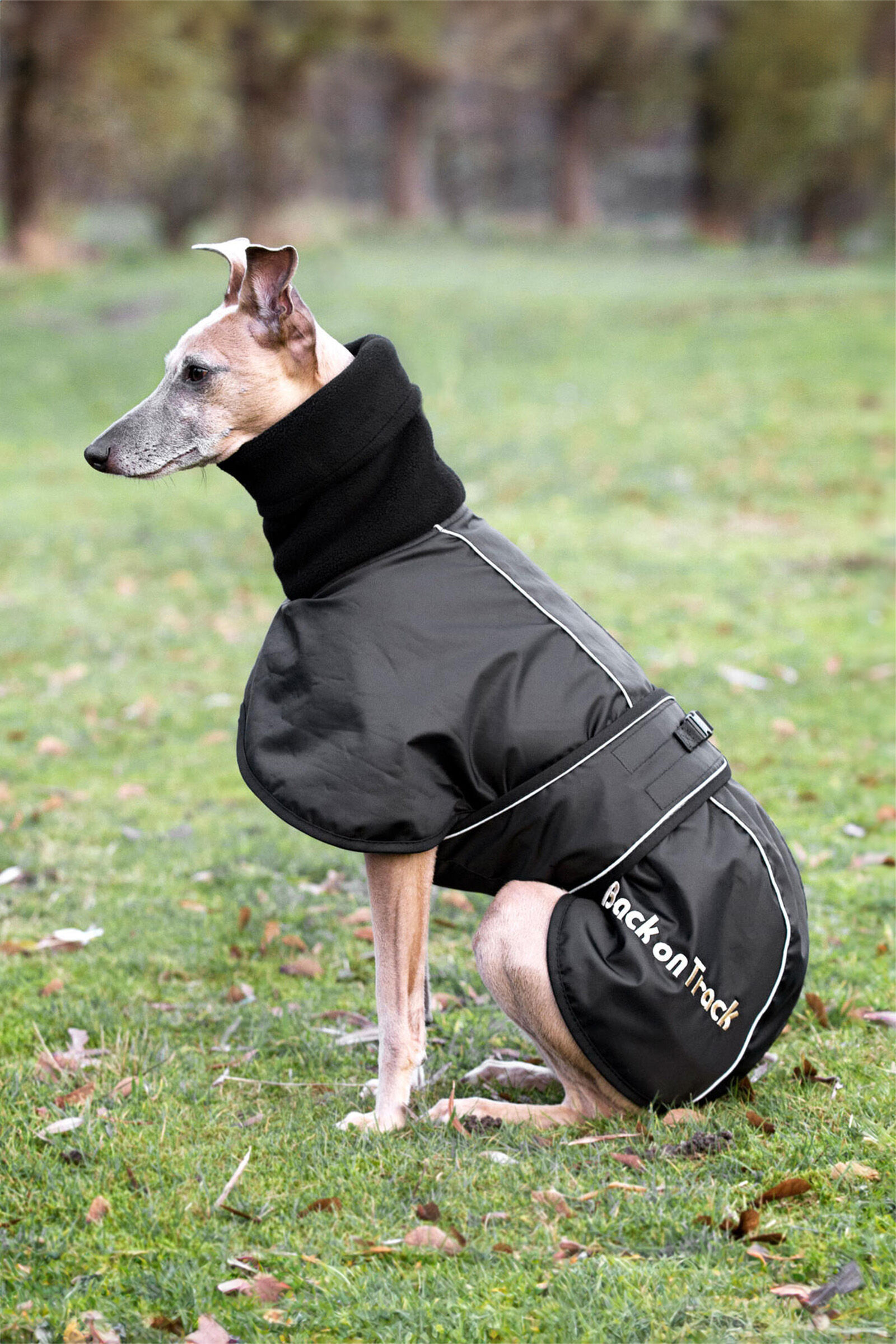 Back on Track Whippet Dog Rug XS M