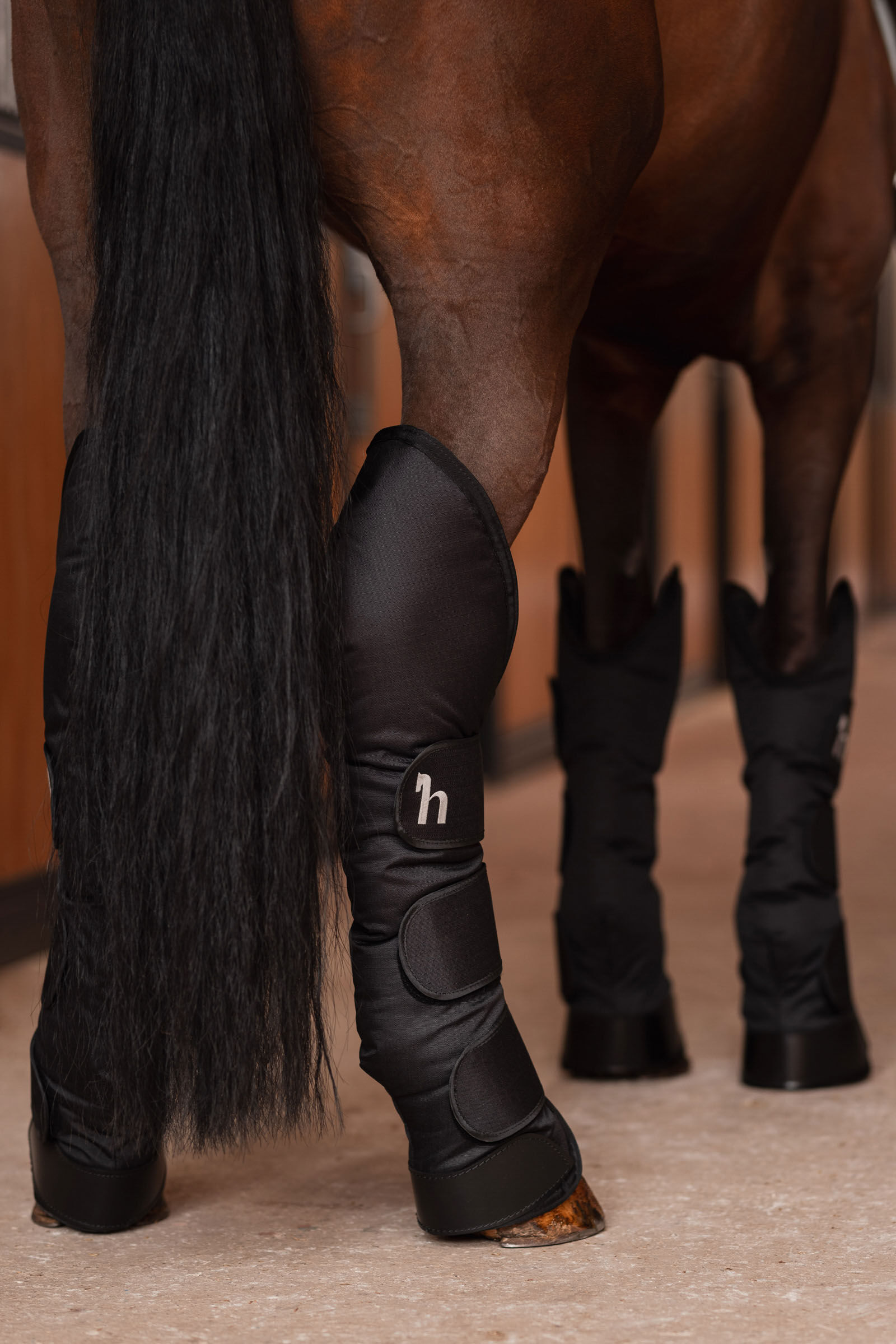 Horse transport boots deals