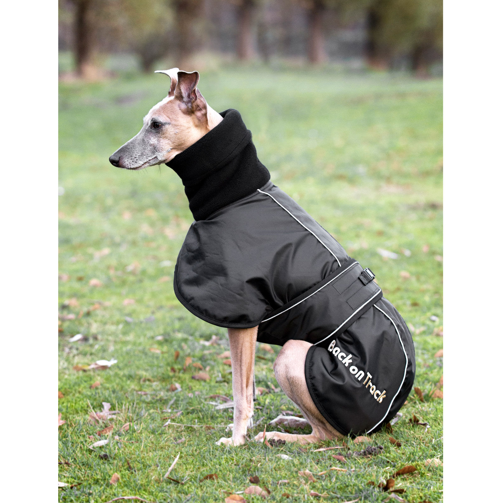 Back on Track Whippet Dog Rug L XXL horze.ie