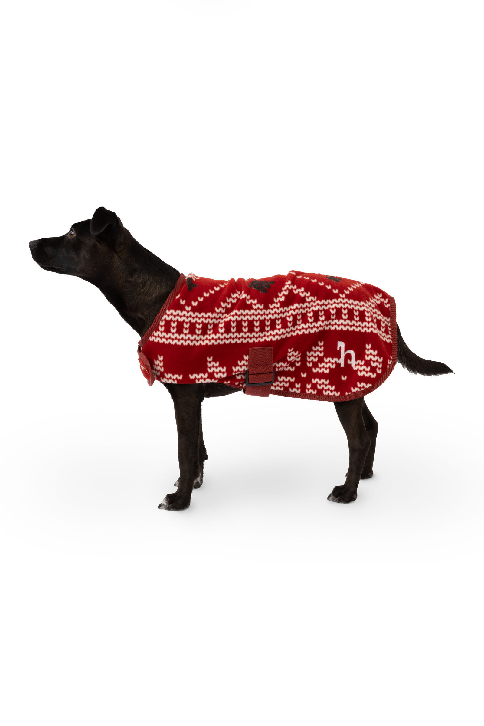 Horze Christmas dog sweater horze.ie