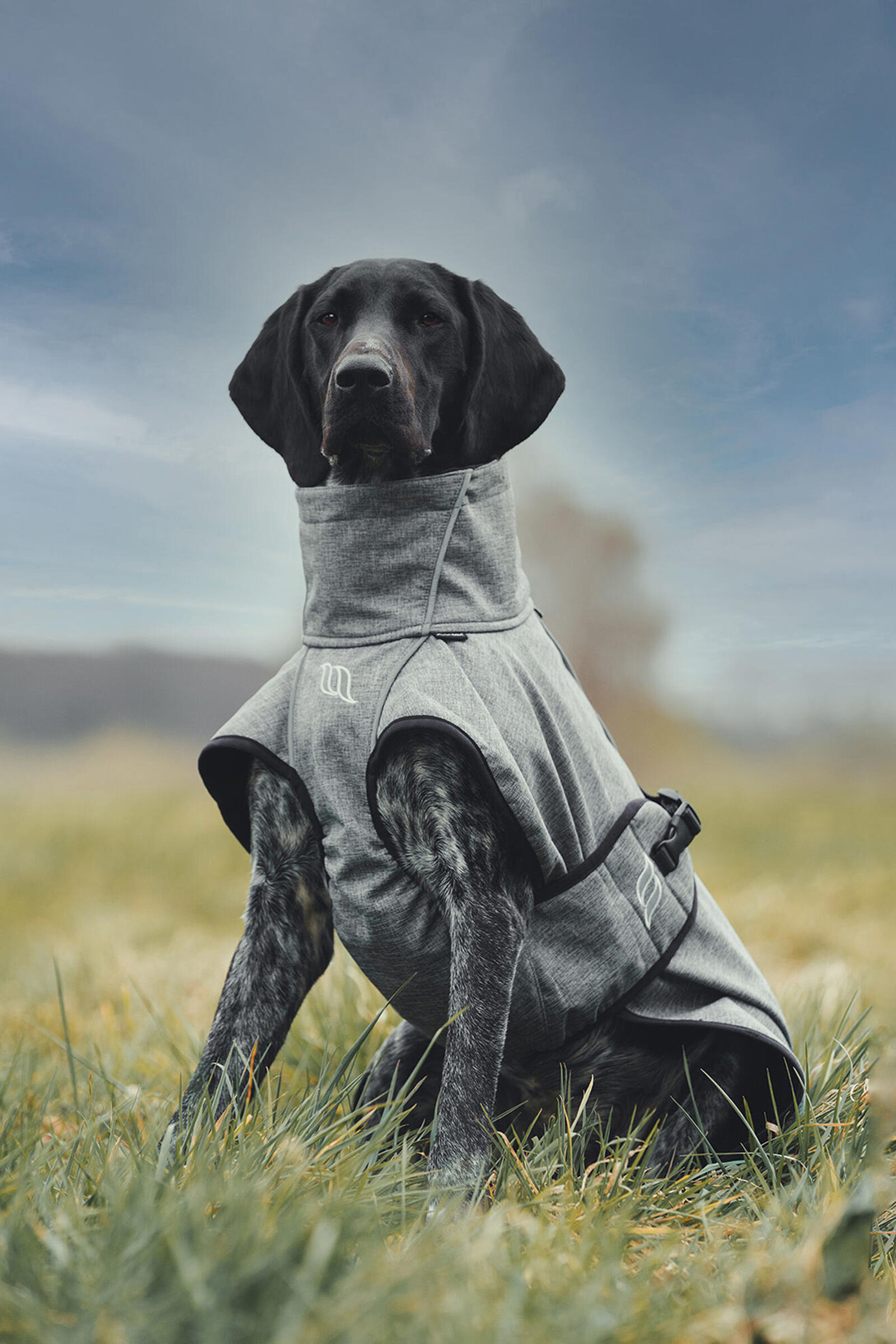 Back on Track Bark All Round Dog Coat 40 50cm