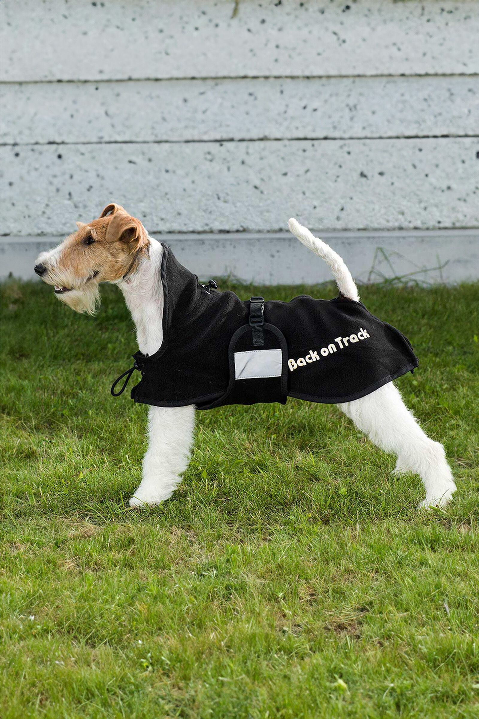 Back on Track Dog Rug Fleece 55 74 horze.ie