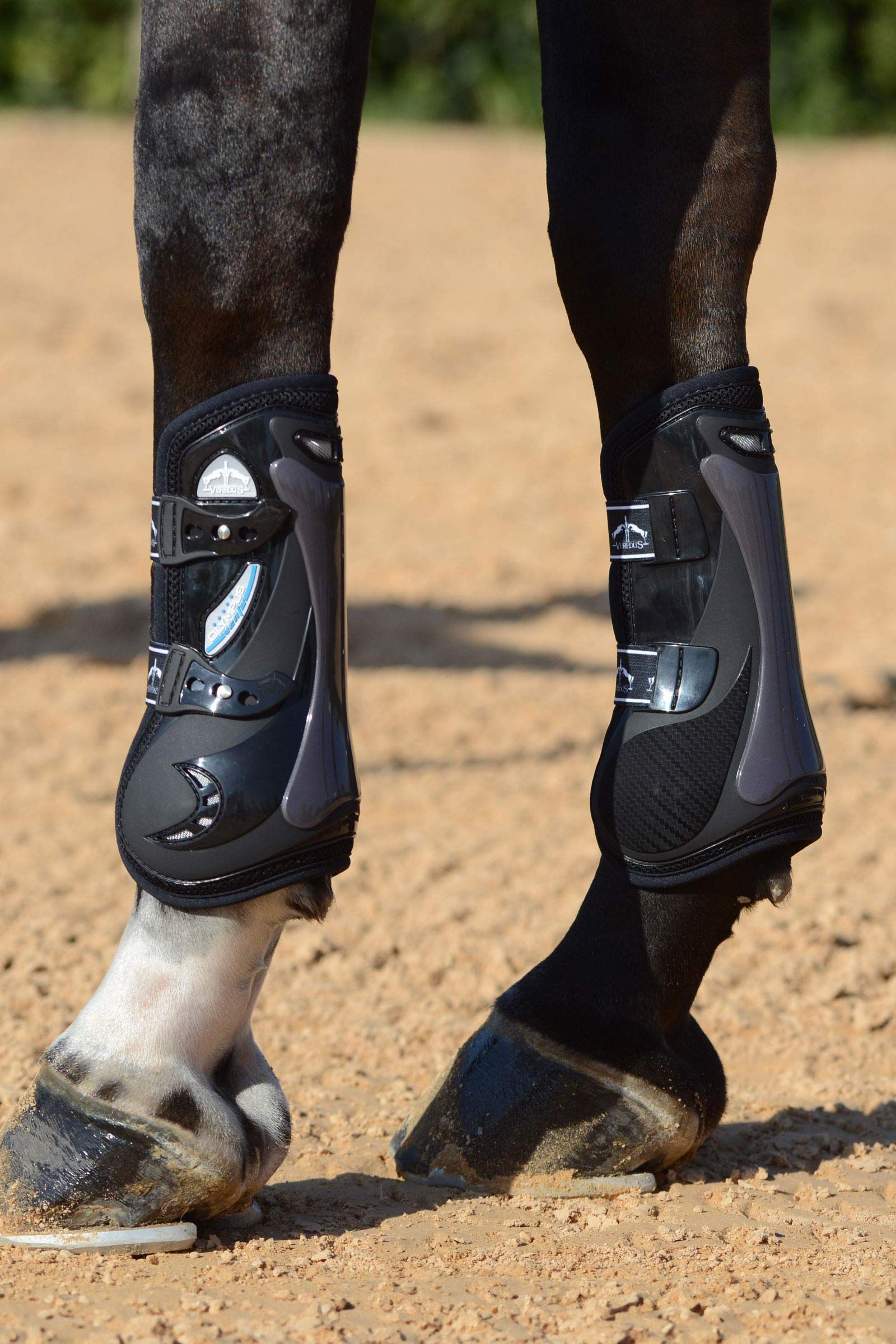 Veredus vento boots top