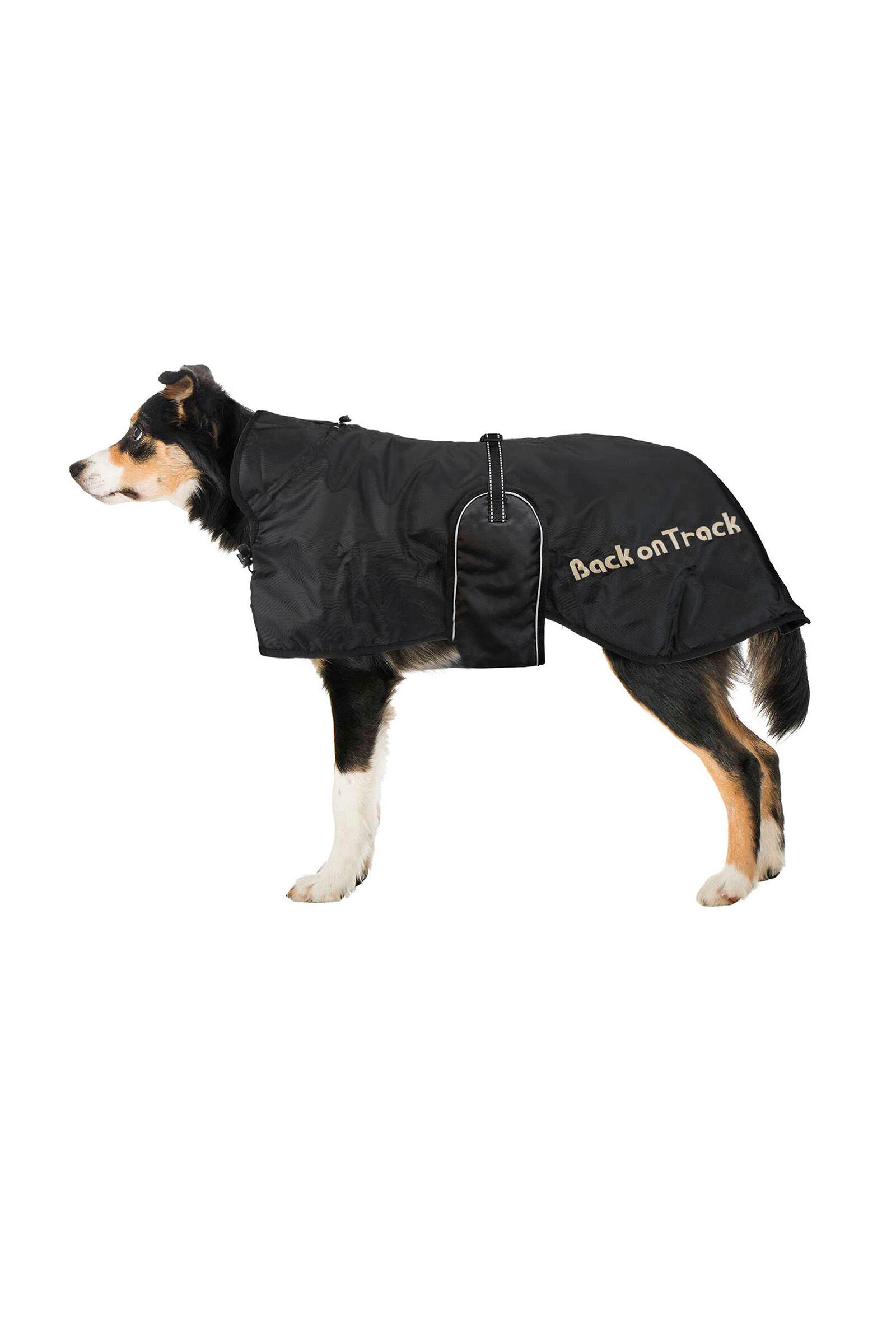 Back on Track Dog Rug 43 59