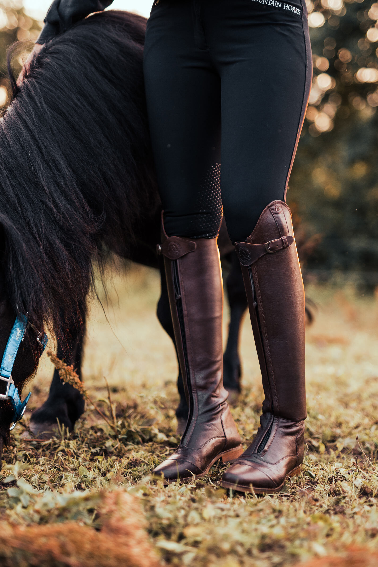 Mountain horse safety boots sales