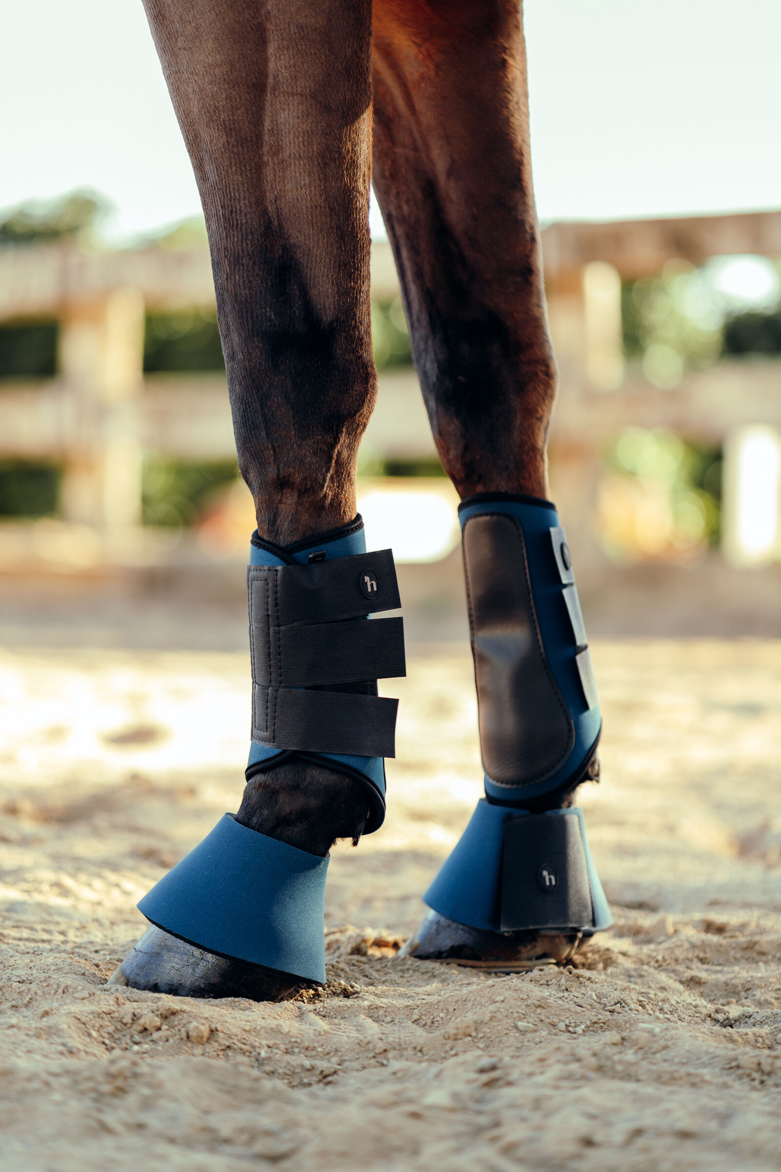 Best over reach boots for shop keeping shoes on