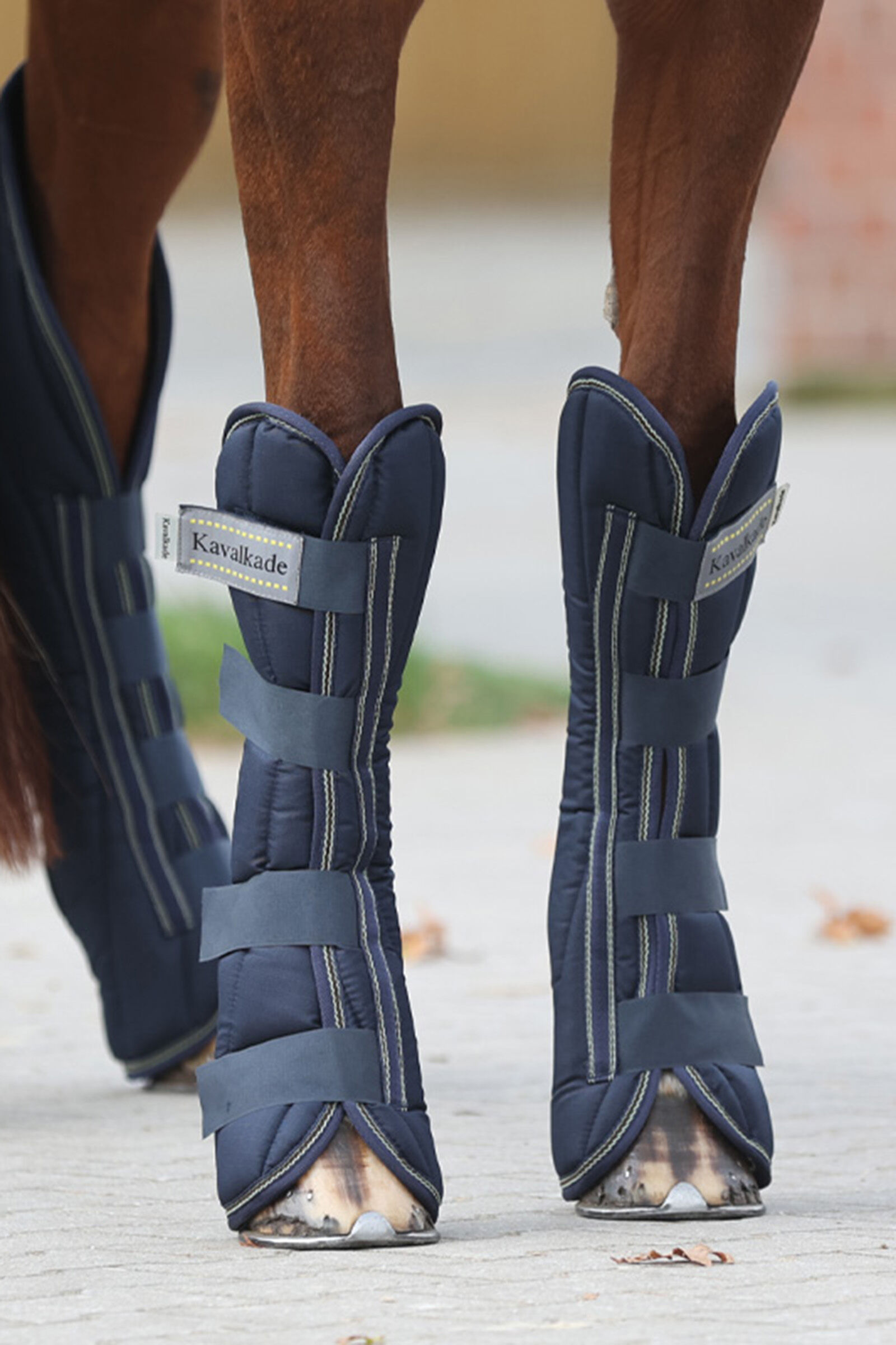 Travel Stable Boots for Horses horze.ie