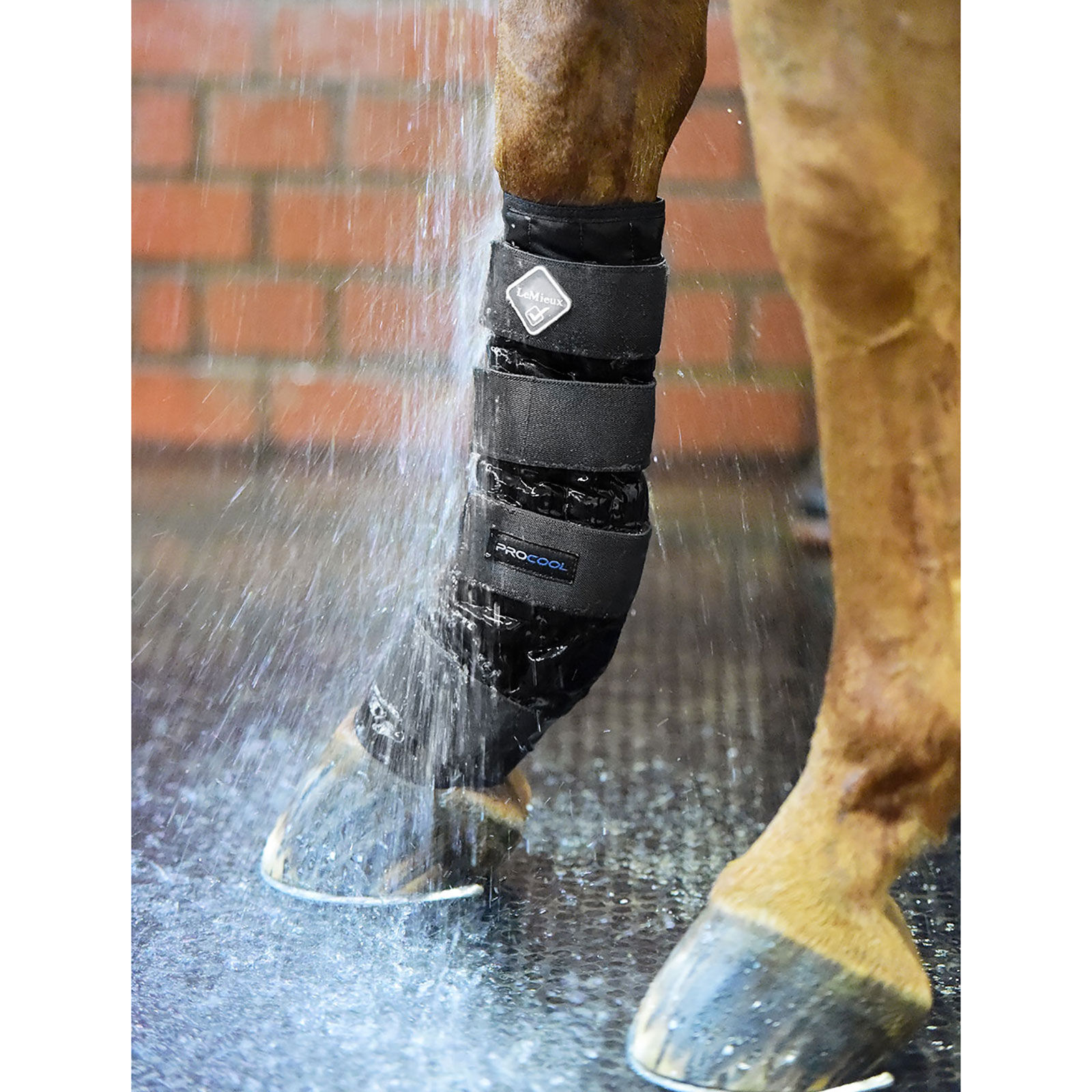 Cold water boots store