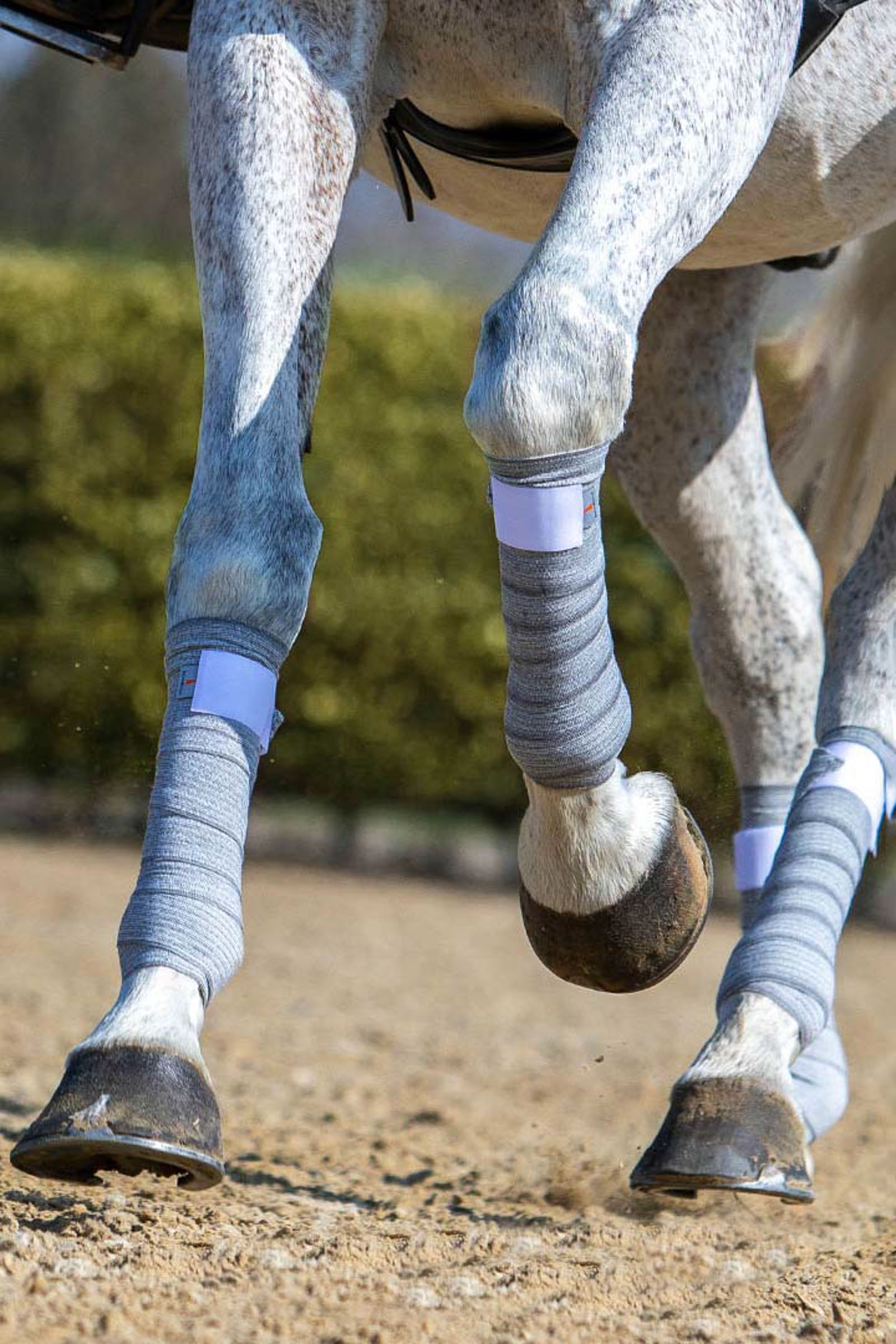 Horse ankle top wraps