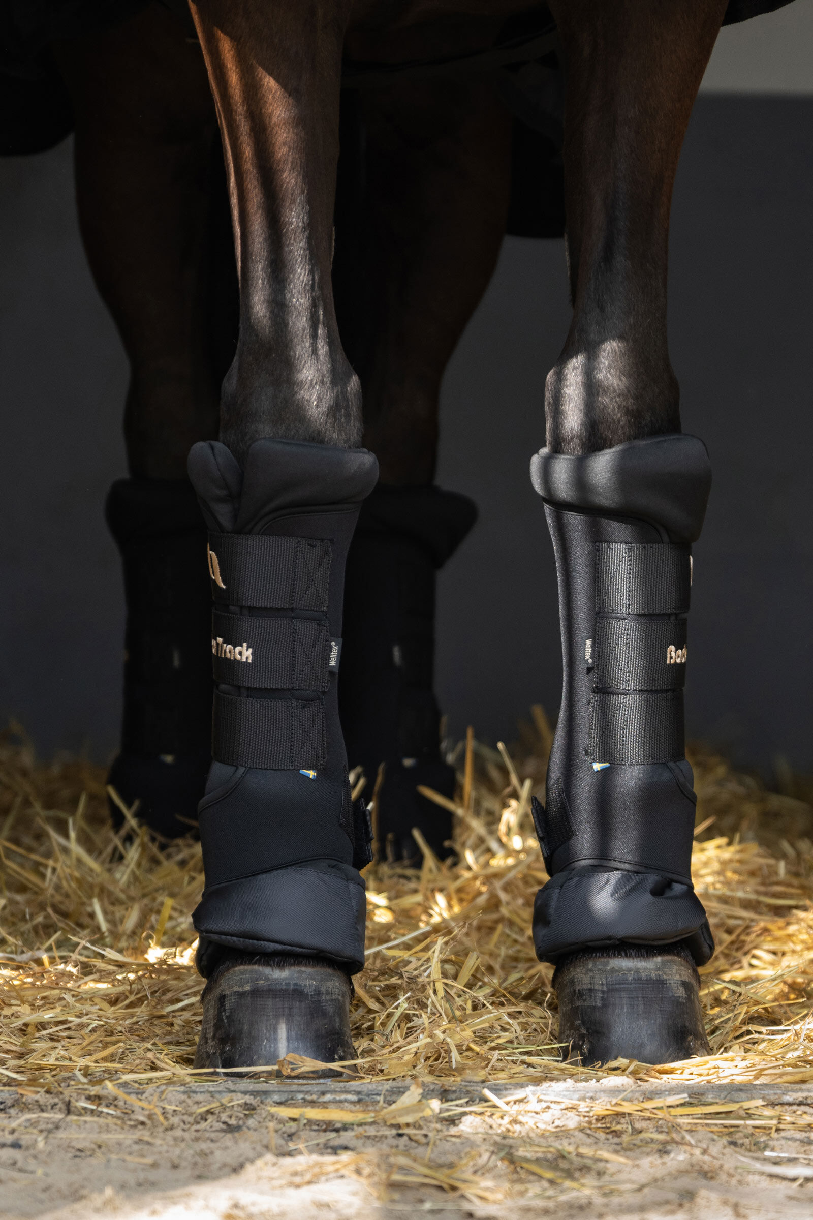 Back On Track Quick Royal Leg Wraps horze.ie