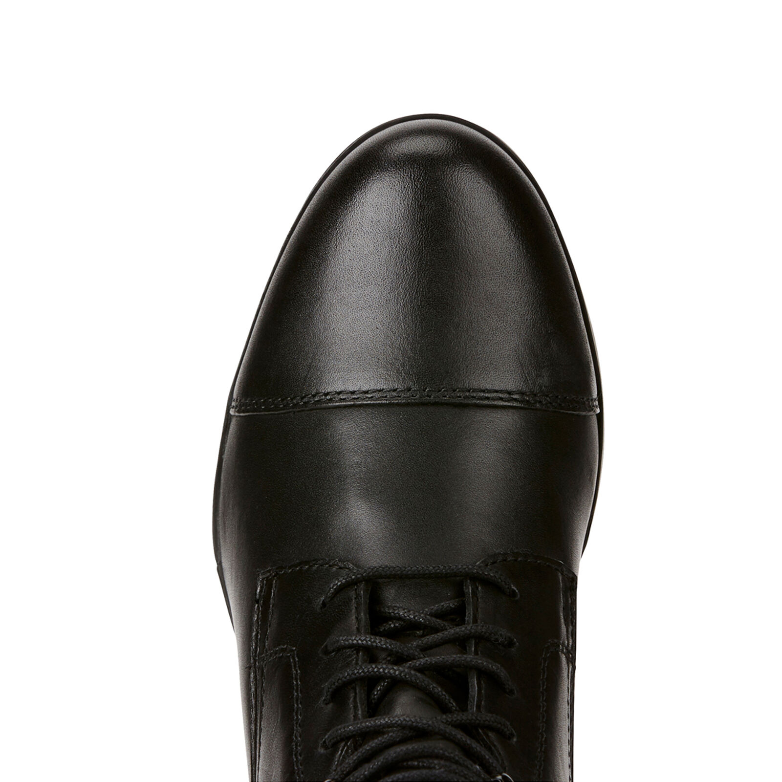 Ariat lace 2025 paddock boots