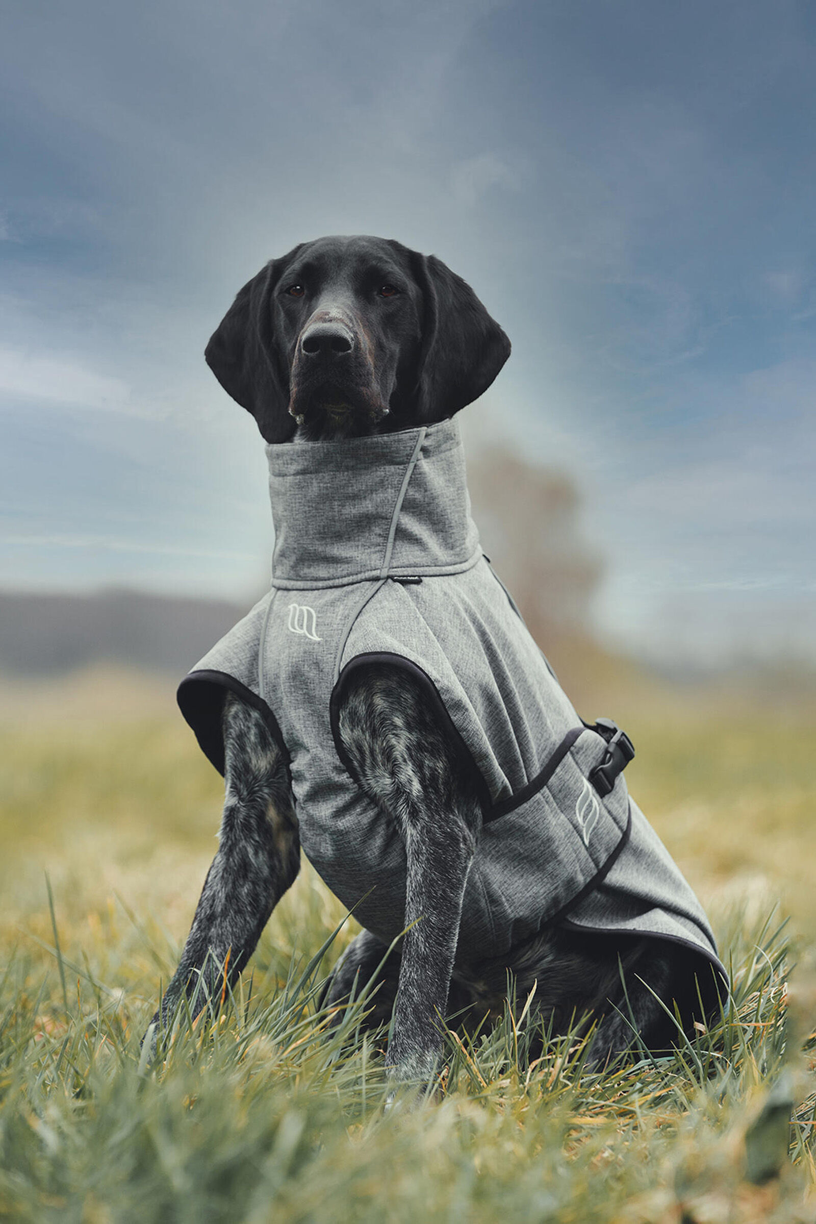 Track and tail dog jacket cheap