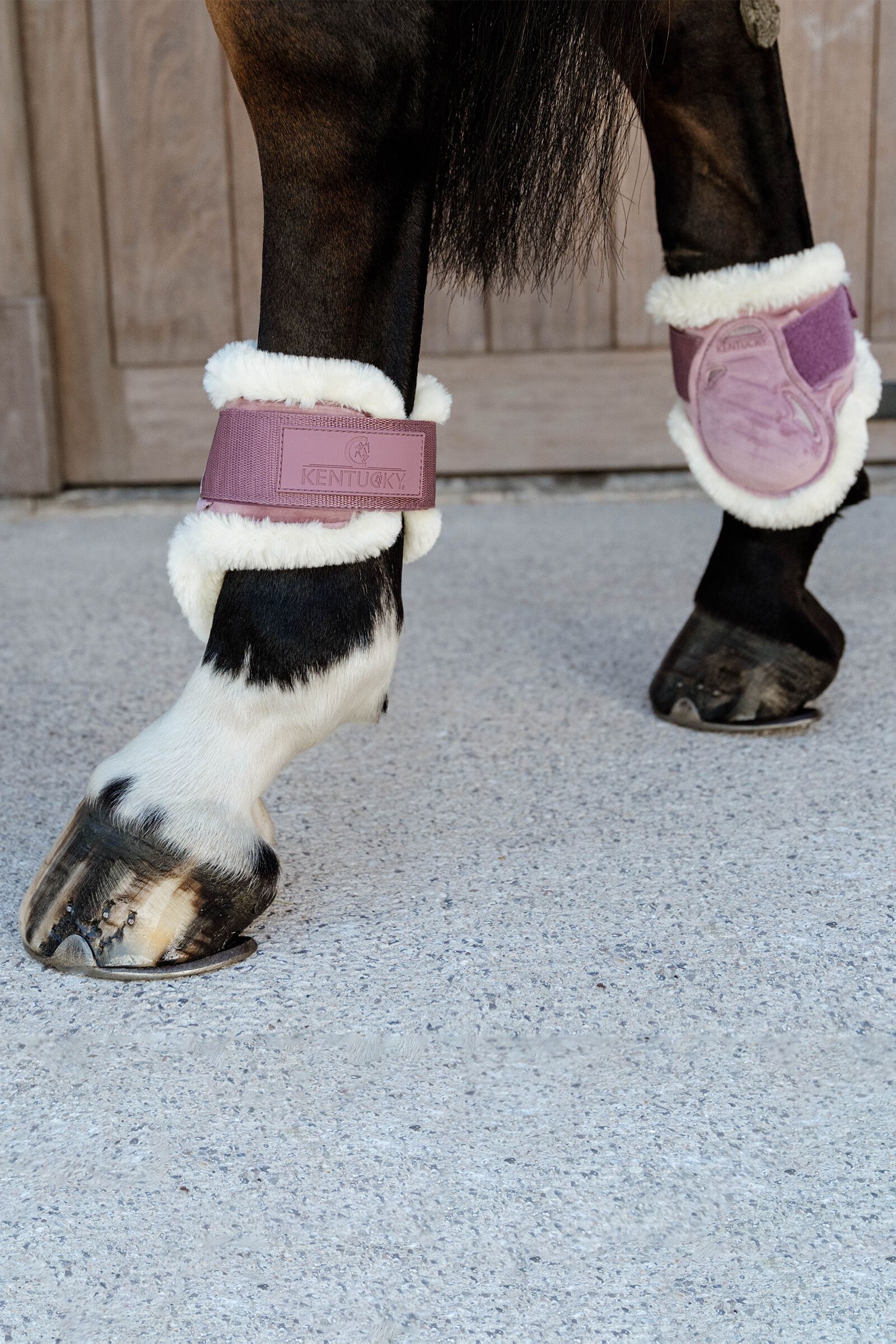 Young horse boots outlet