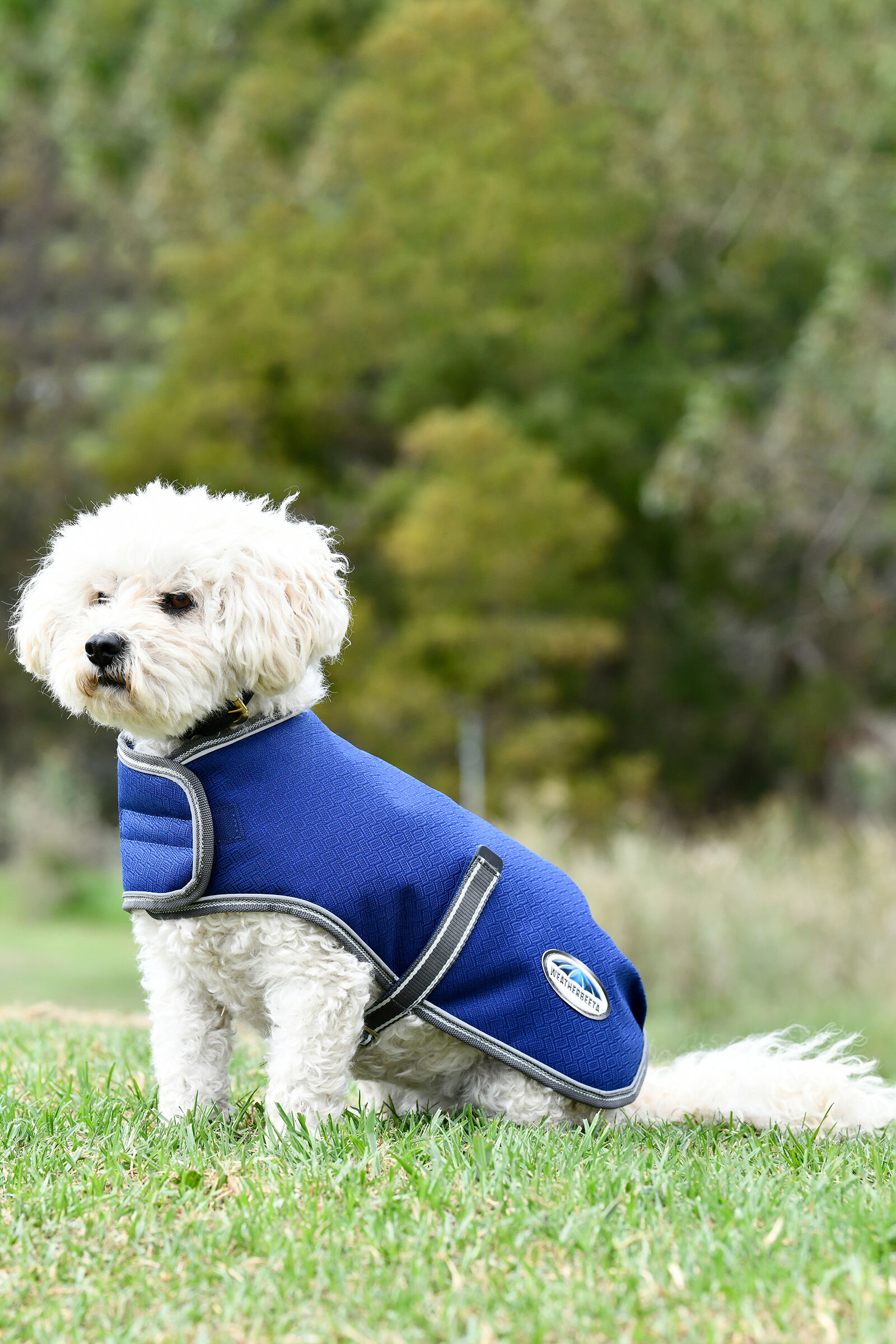 Weatherbeeta parka 1200d best sale deluxe dog coat