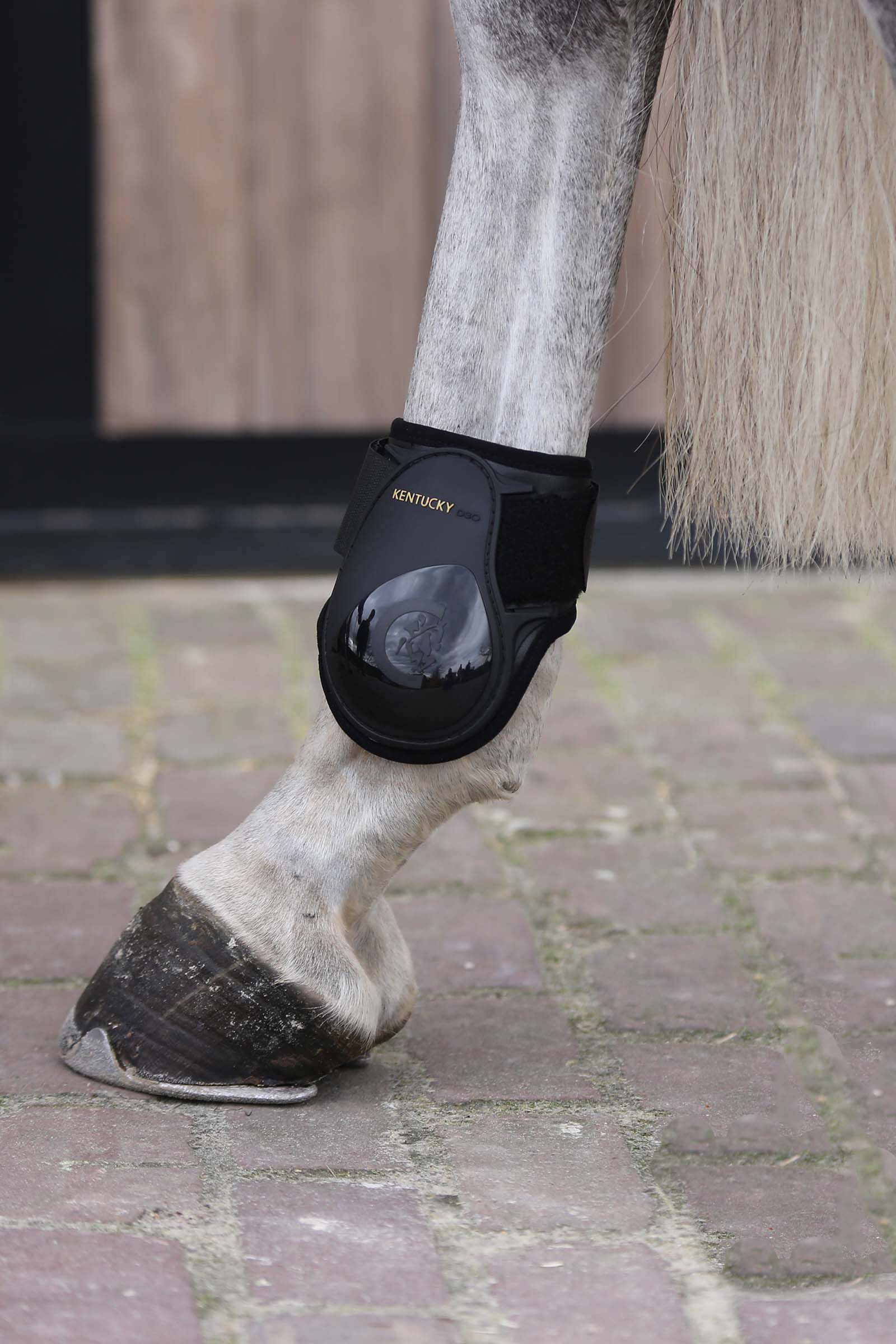 Young horse boots on sale