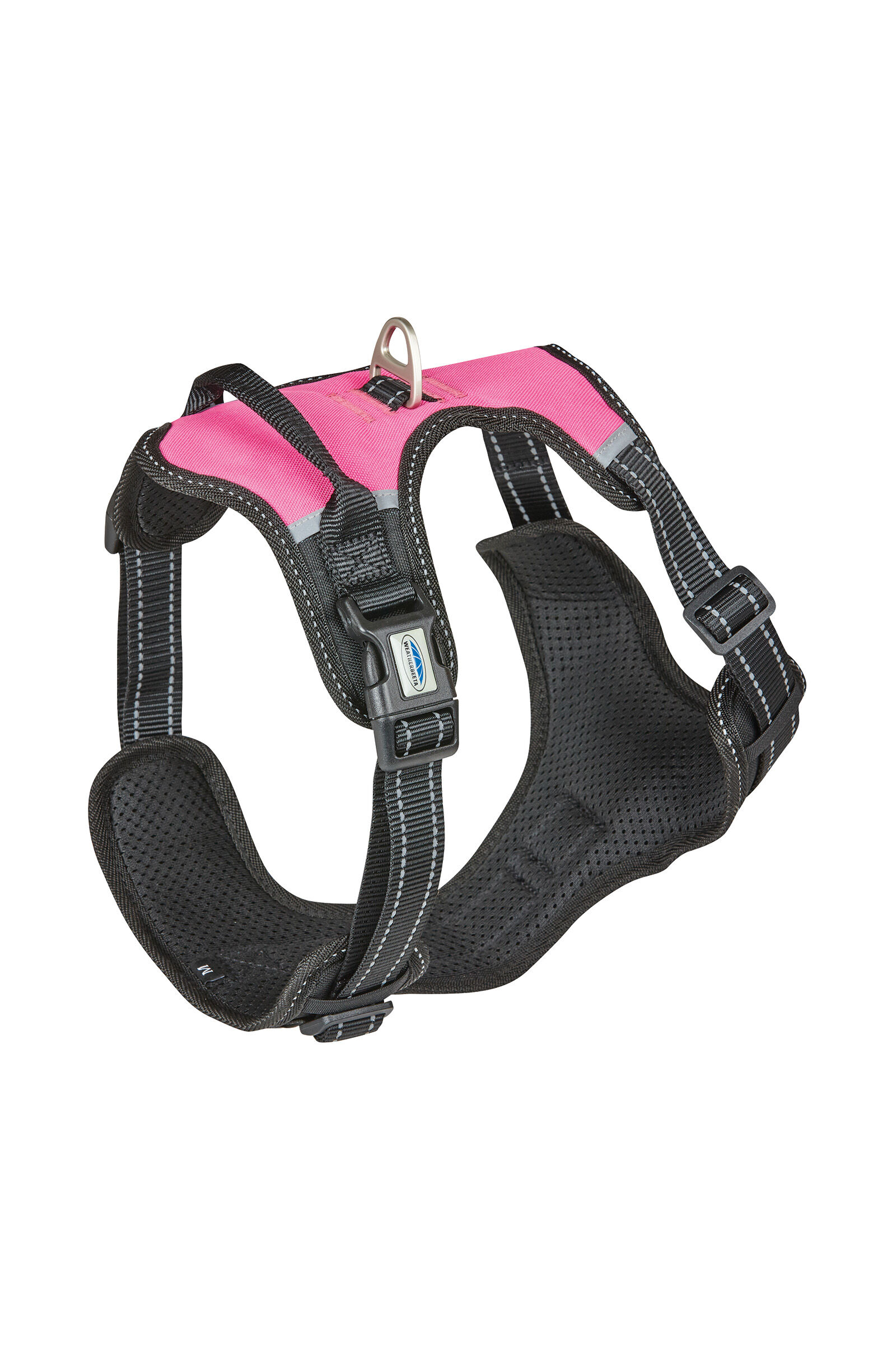 Nylon dog shop collars and leashes