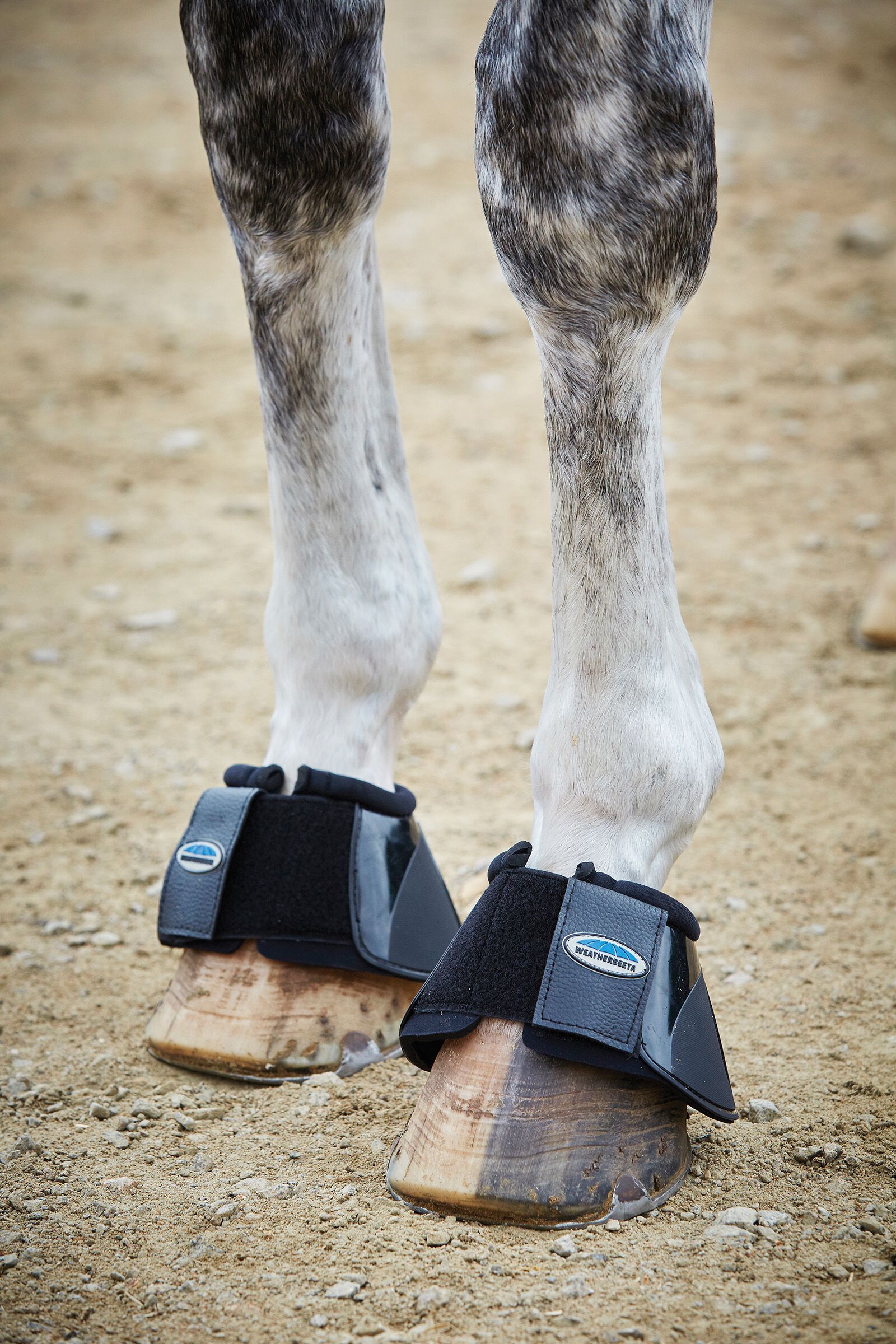 Weatherbeeta horse boots top