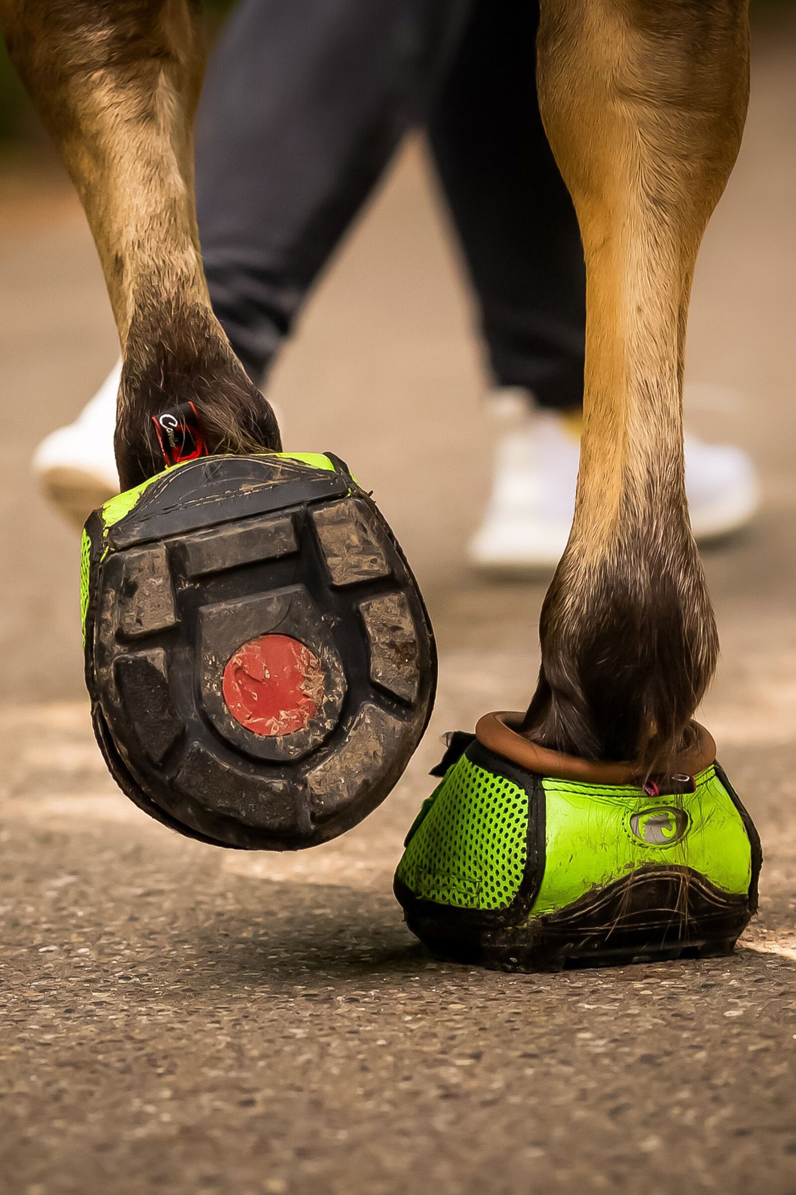 Equine hoof boots deals