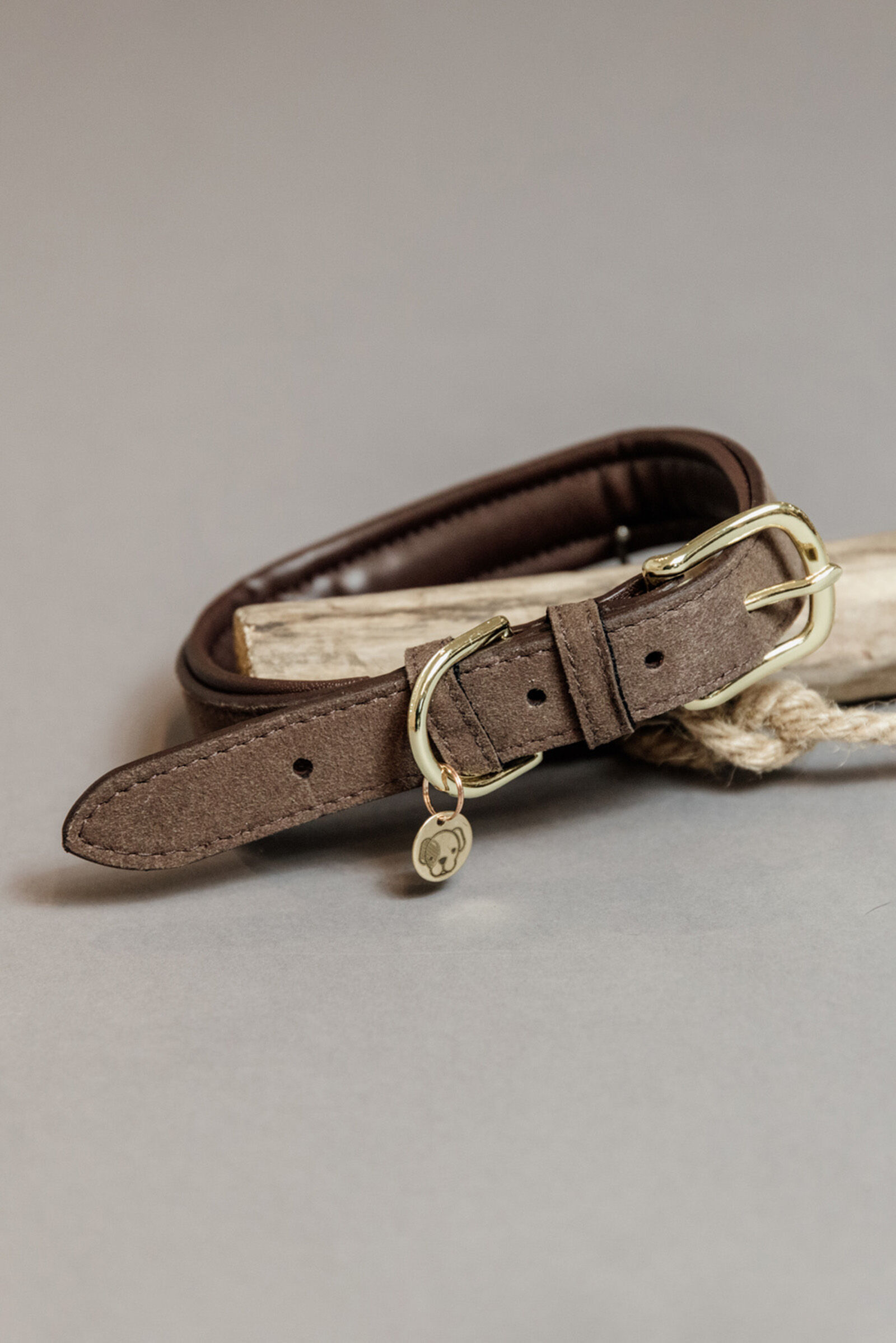 Dog Collars Leashes horze.ie