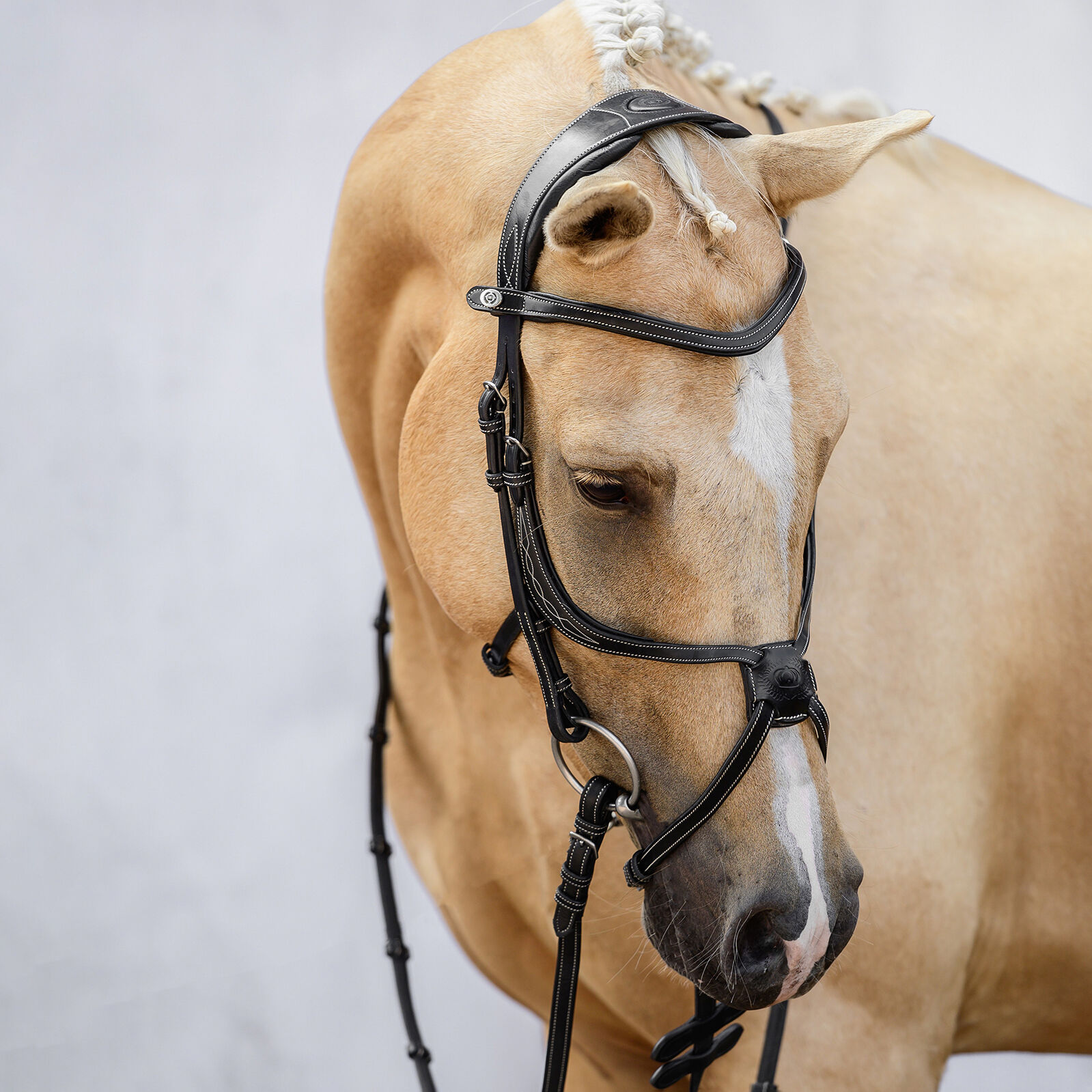 Ps of sweden bridle new arrivals