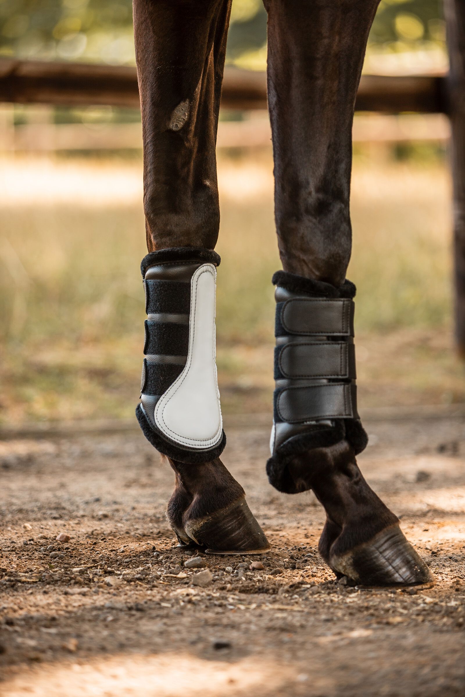 Horze Luminox Reflective Brushing Boots Front horze.ie