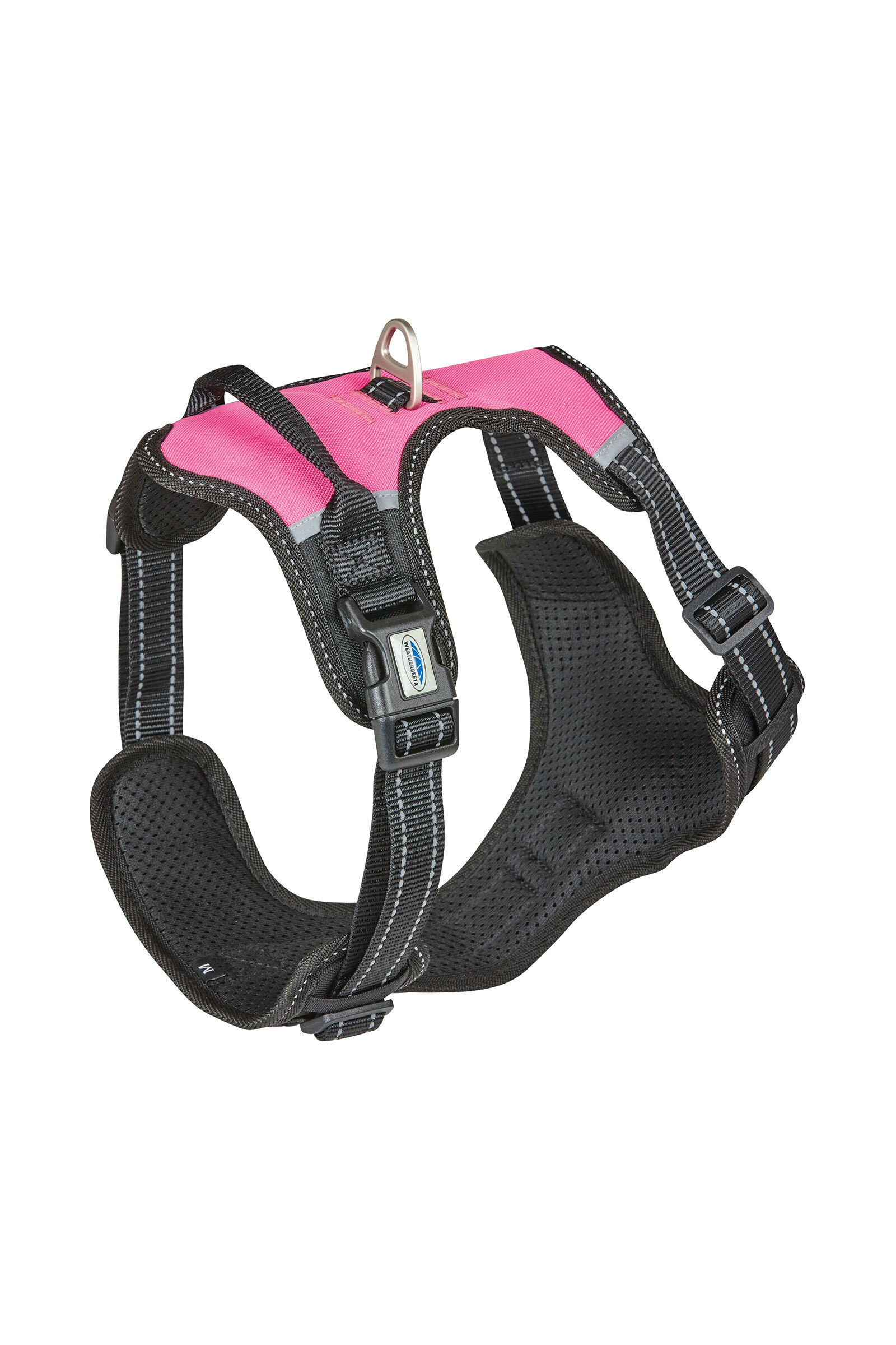 Mesh dog best sale collars