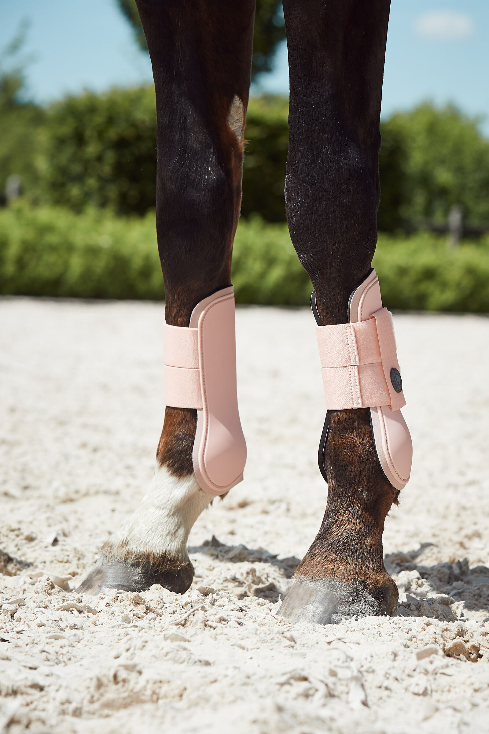 Pink tendon boots hot sale