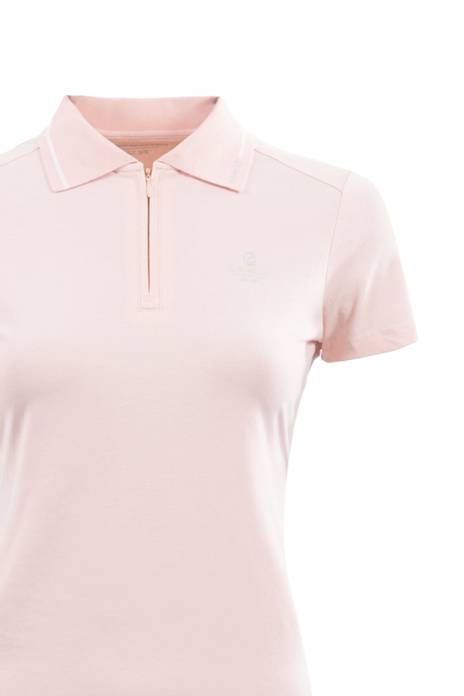 Polo a cavallo online