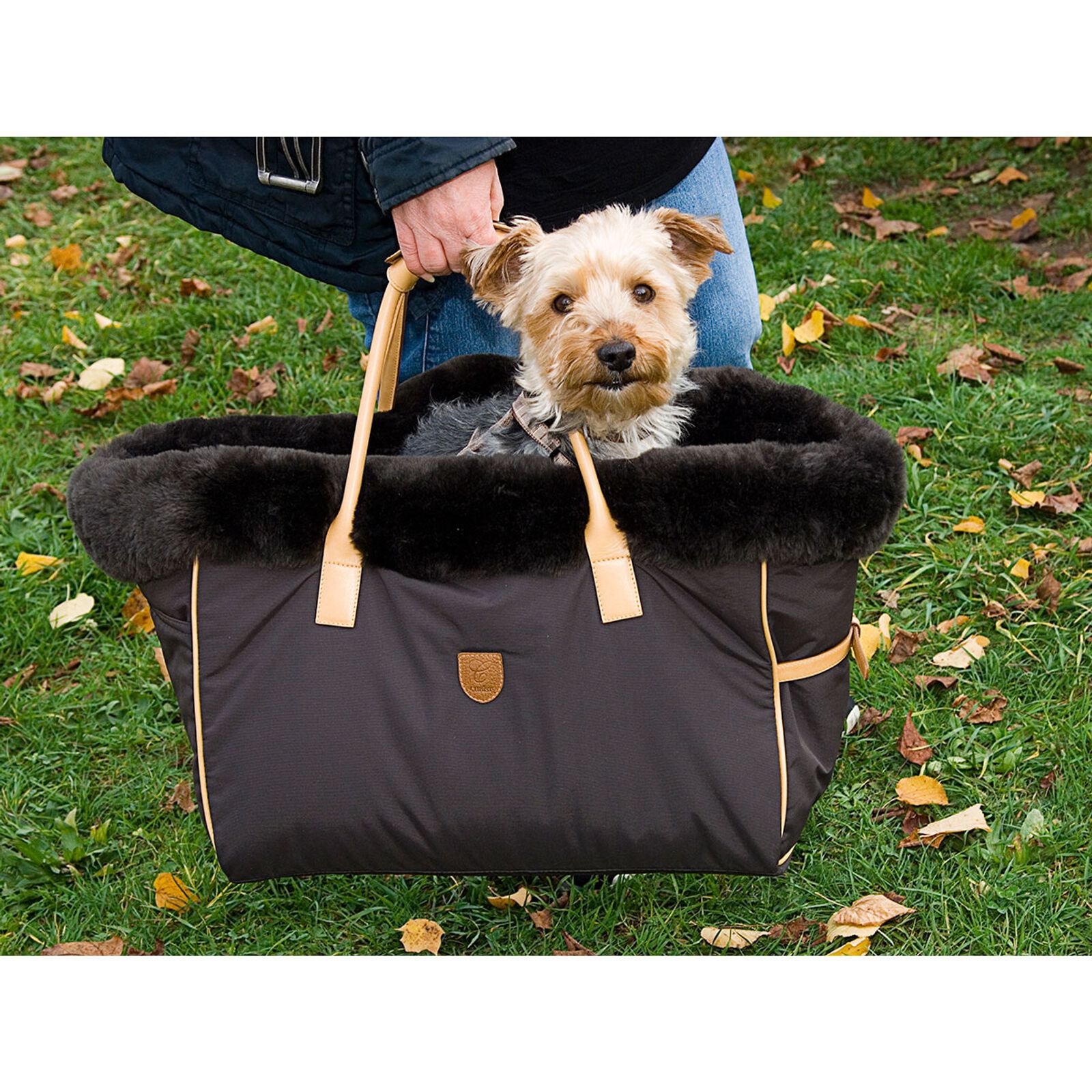 Christ Dog Bag Bailey w sheepskin horze.ie