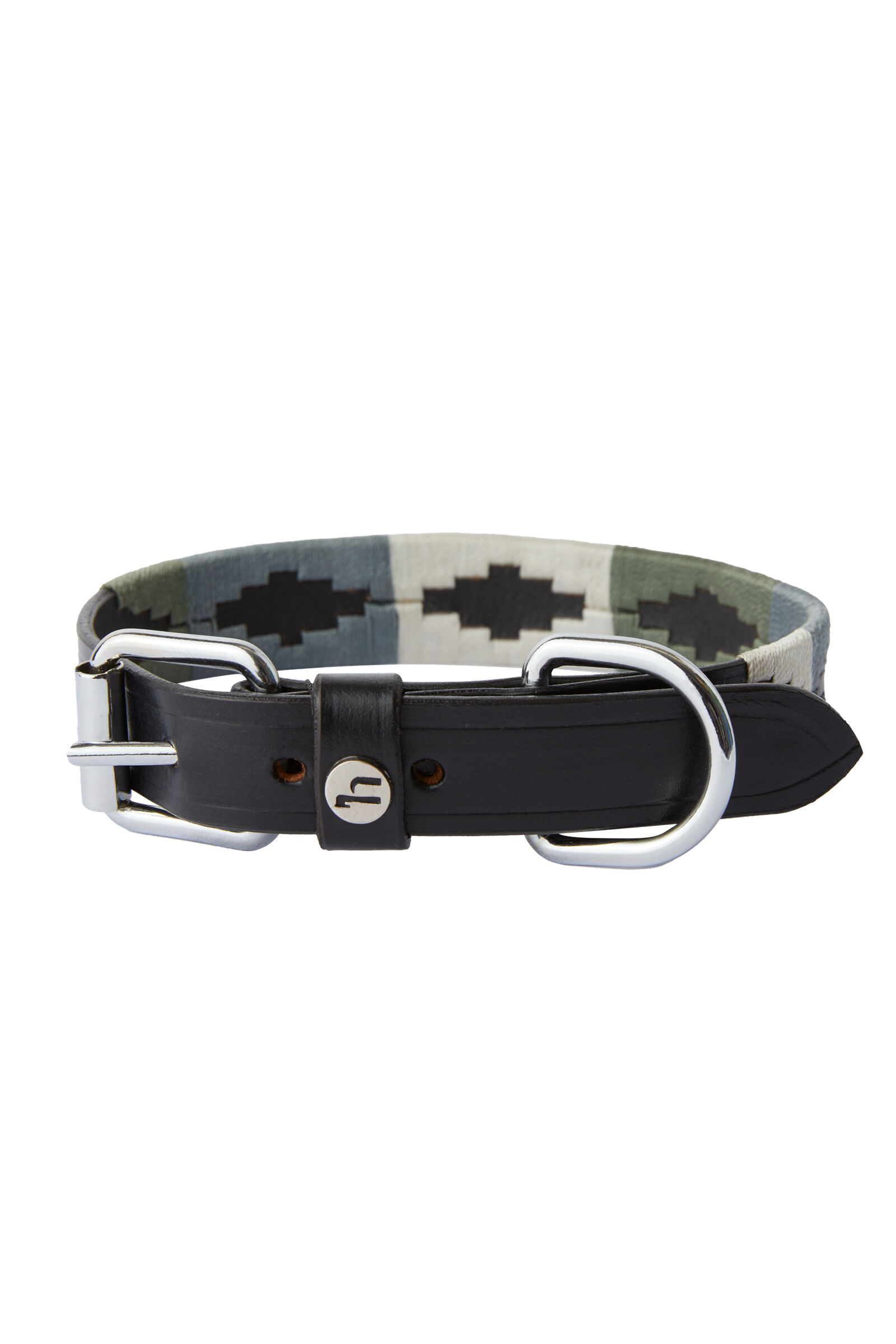 Modern store dog collars