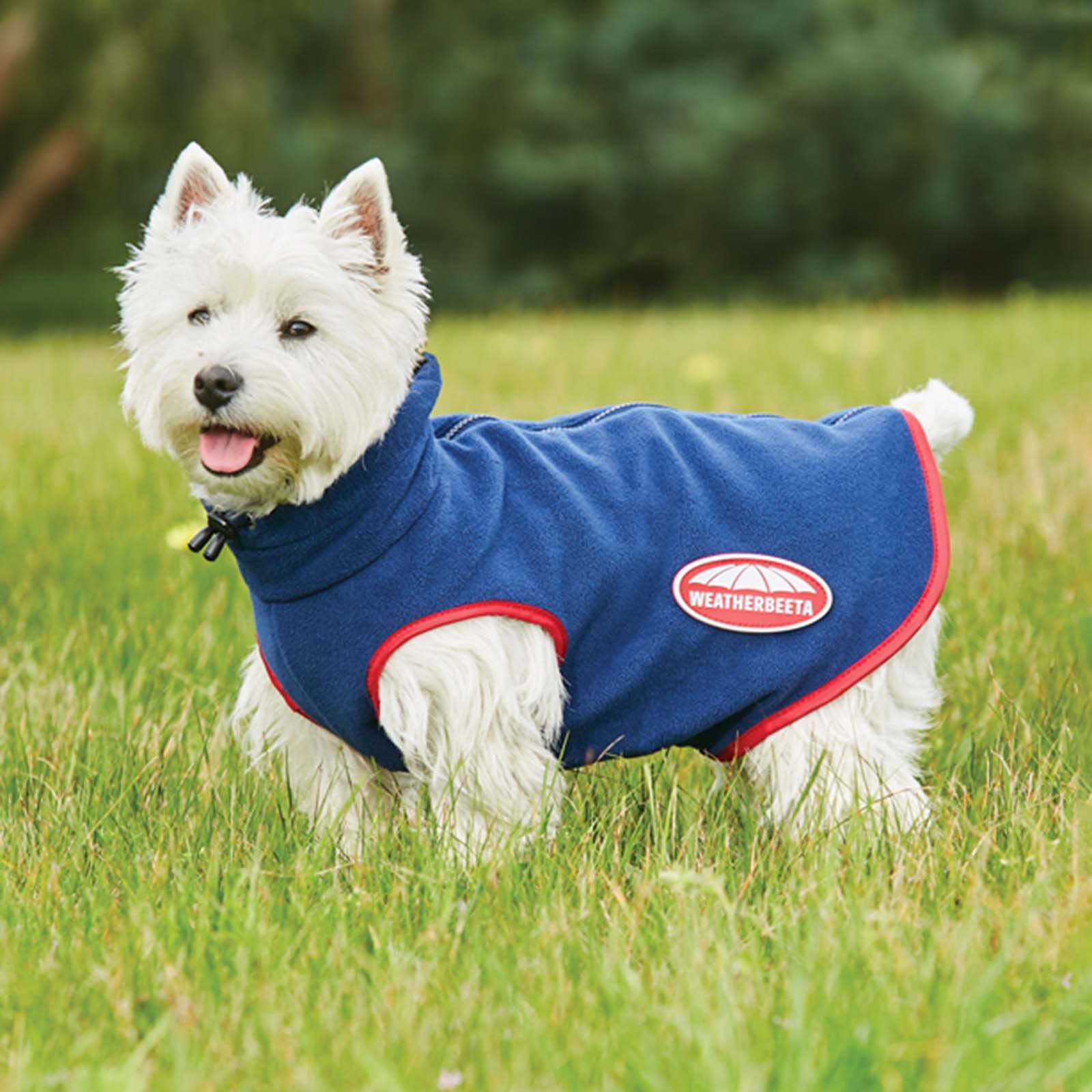 80cm online dog coat