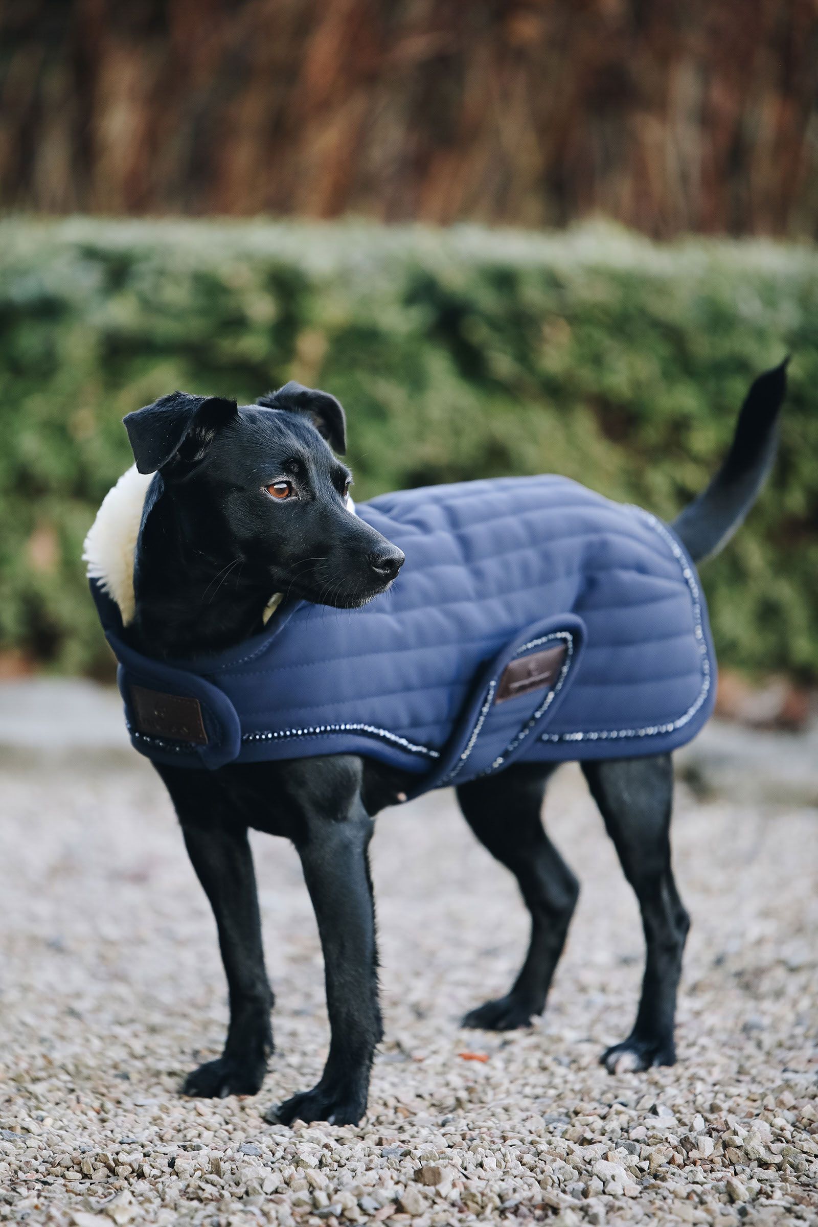 Dog Rugs Coats horze.ie